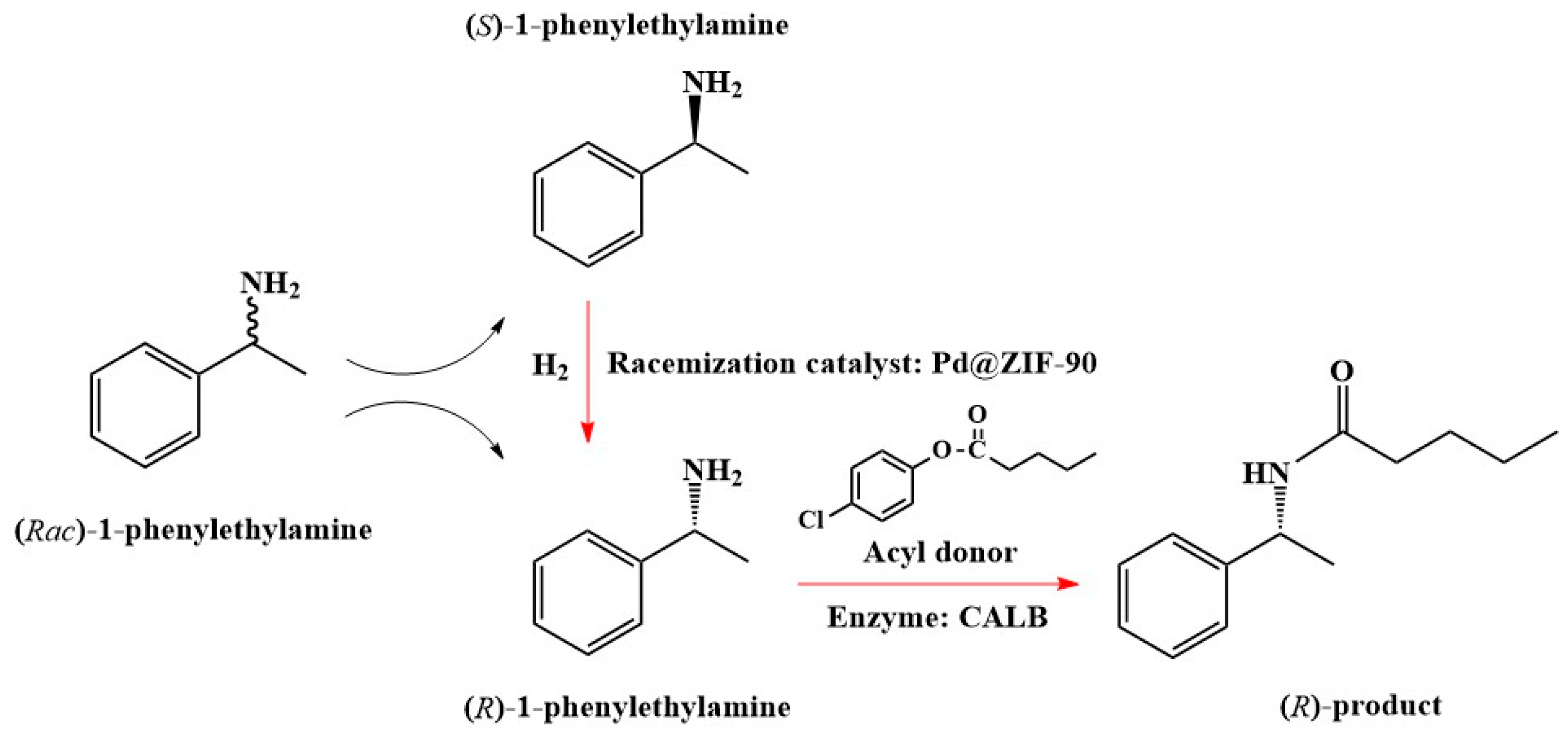 Molecules 28 00922 sch002