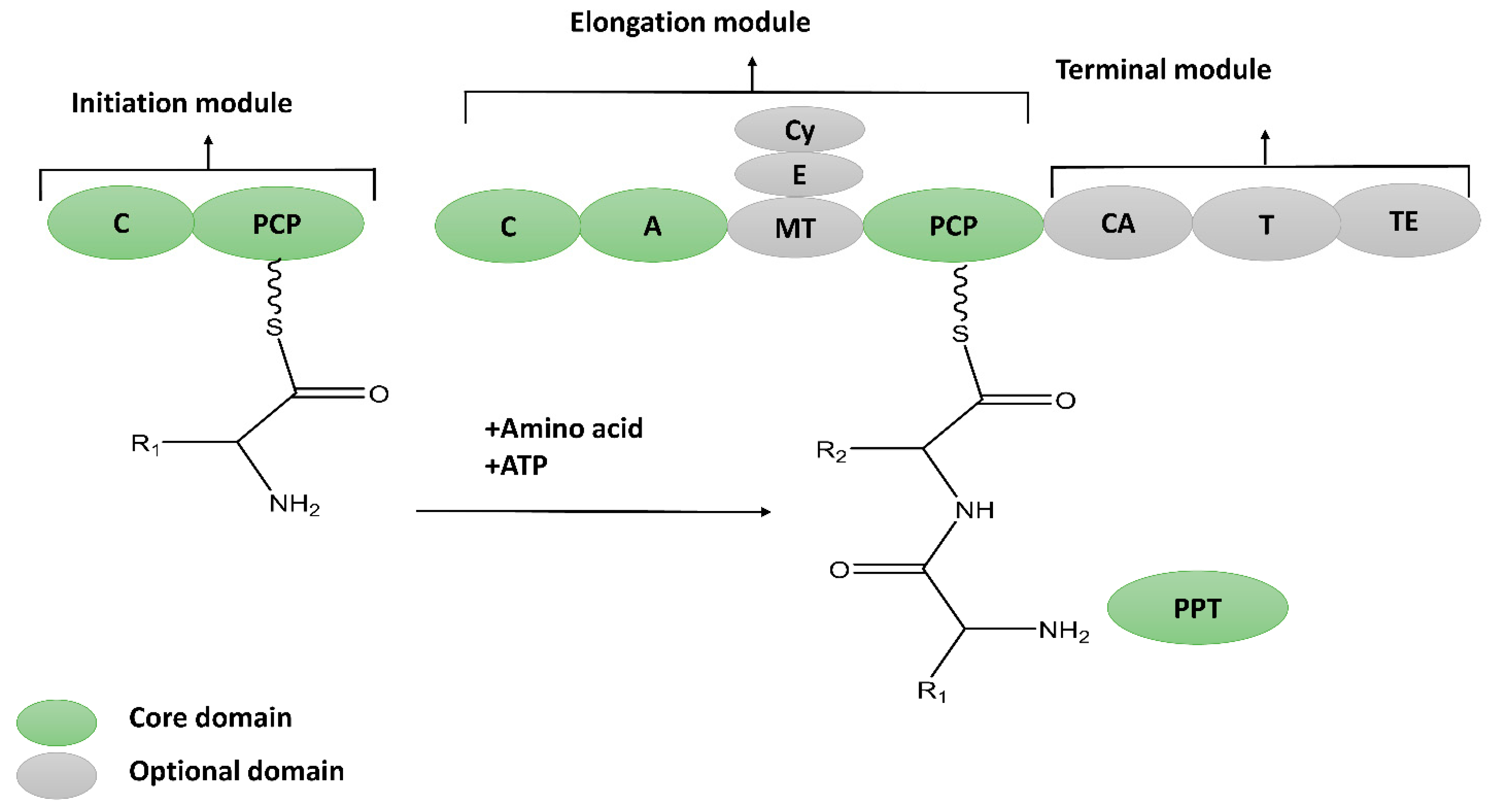 Molecules 28 00927 g002 Molecules 28 00927 g002