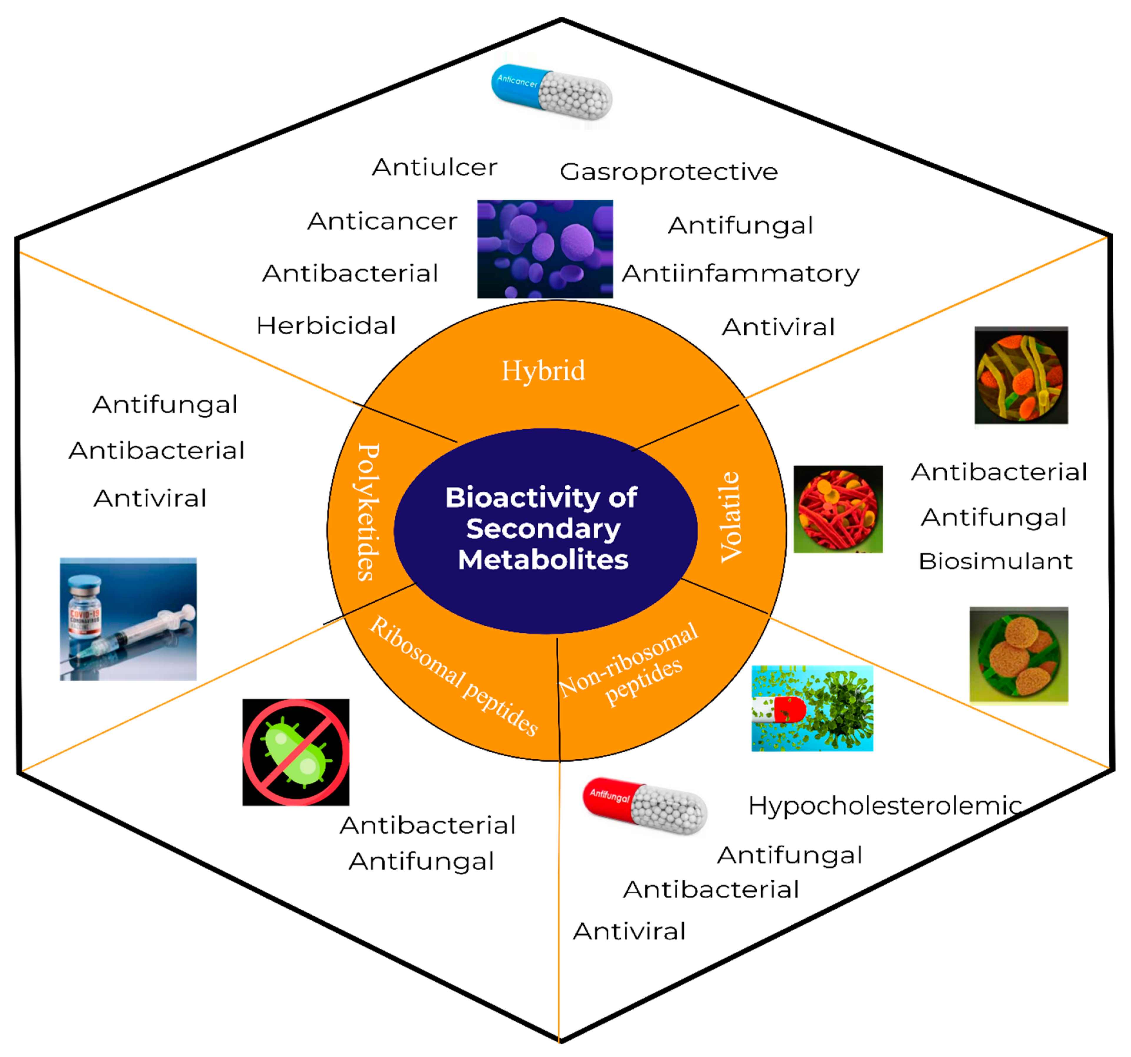 Molecules 28 00927 g003 Molecules 28 00927 g003