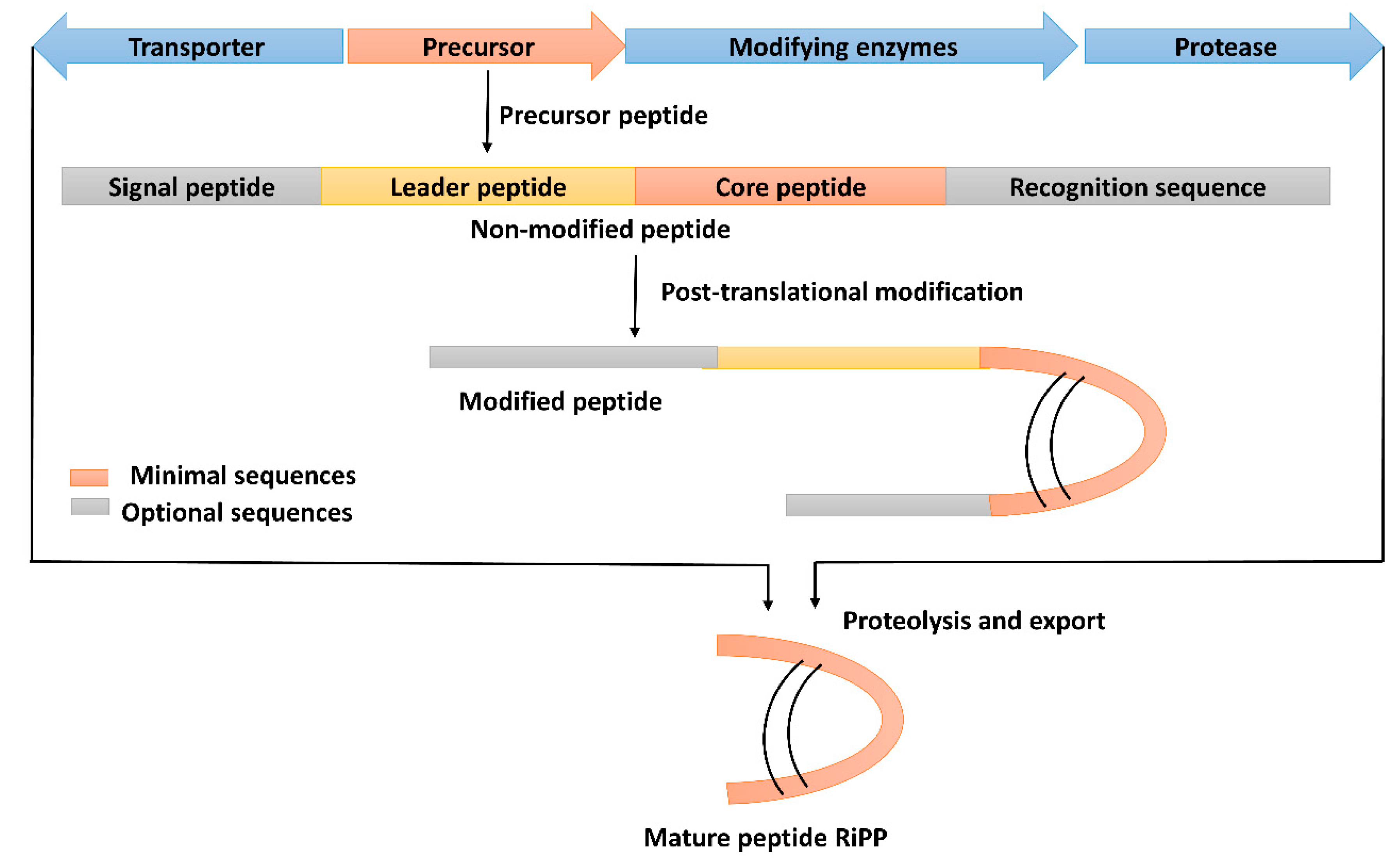 Molecules 28 00927 g004 Molecules 28 00927 g004