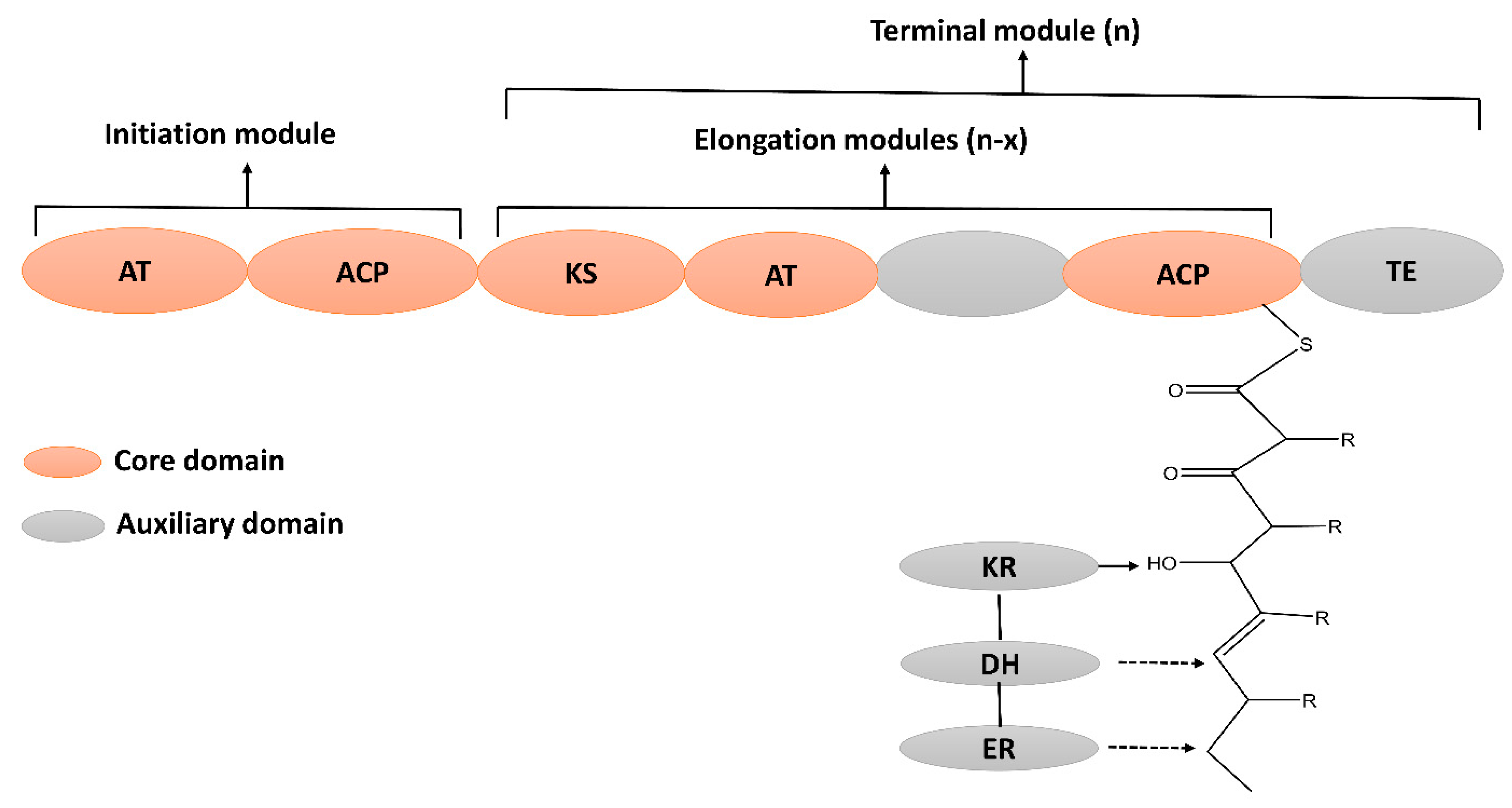 Molecules 28 00927 g005 Molecules 28 00927 g005