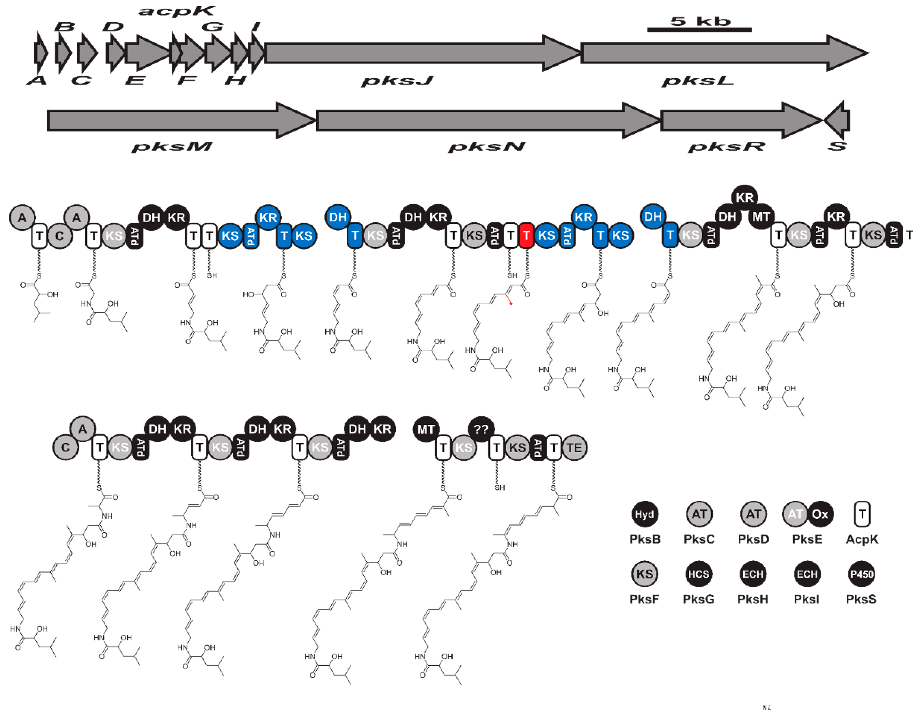 Molecules 28 00927 g006 Molecules 28 00927 g006