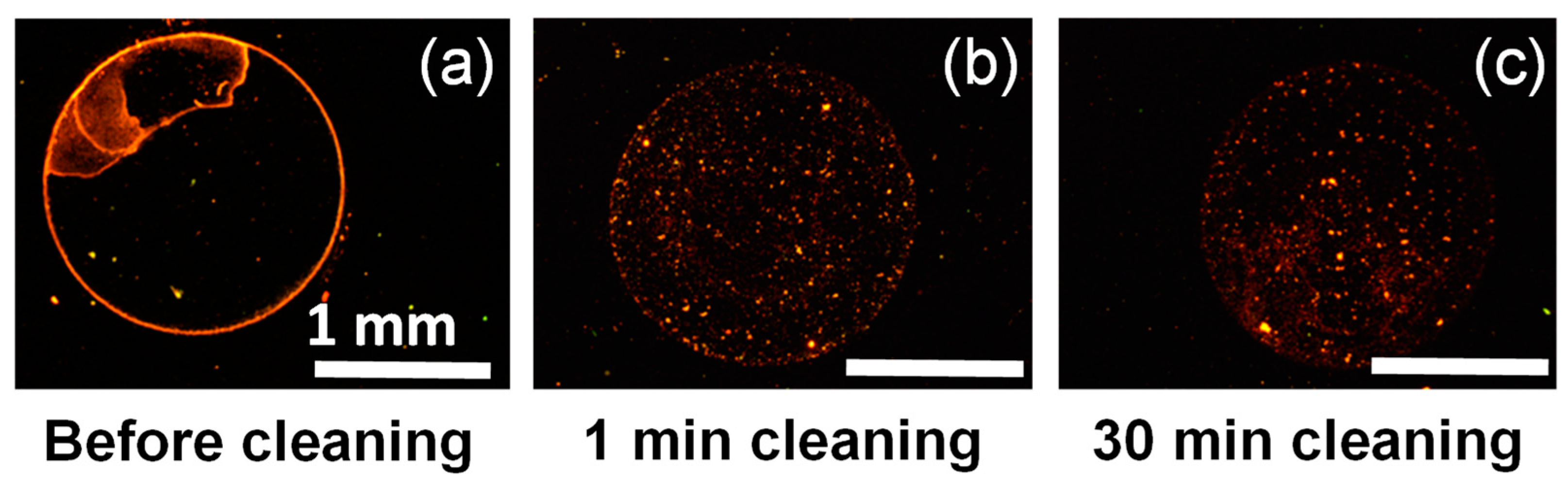 Molecules 28 00936 g003 Molecules 28 00936 g003