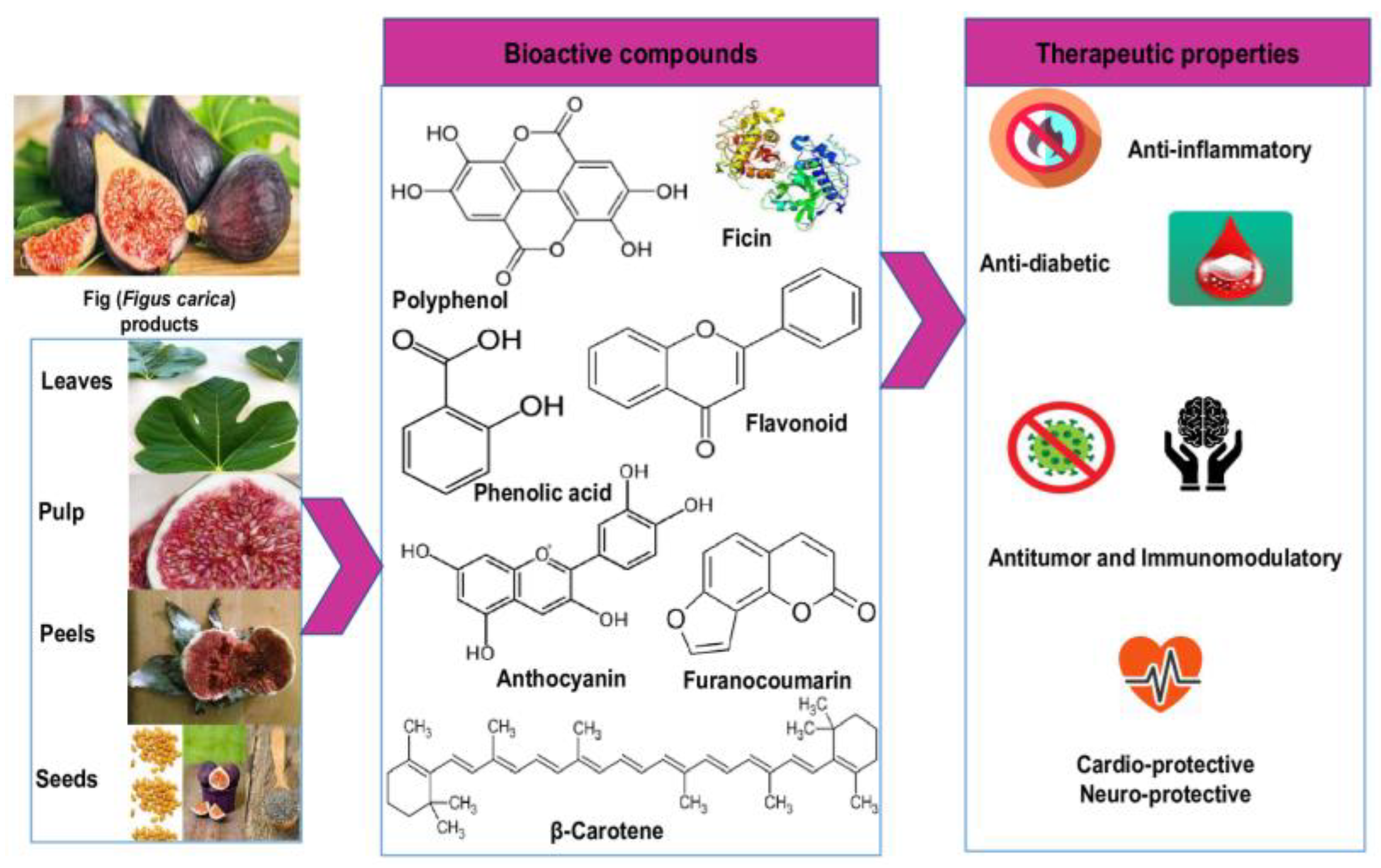 Molecules | Free Full-Text | Industrial Application and Health Prospective  of Fig (Ficus carica) By-Products