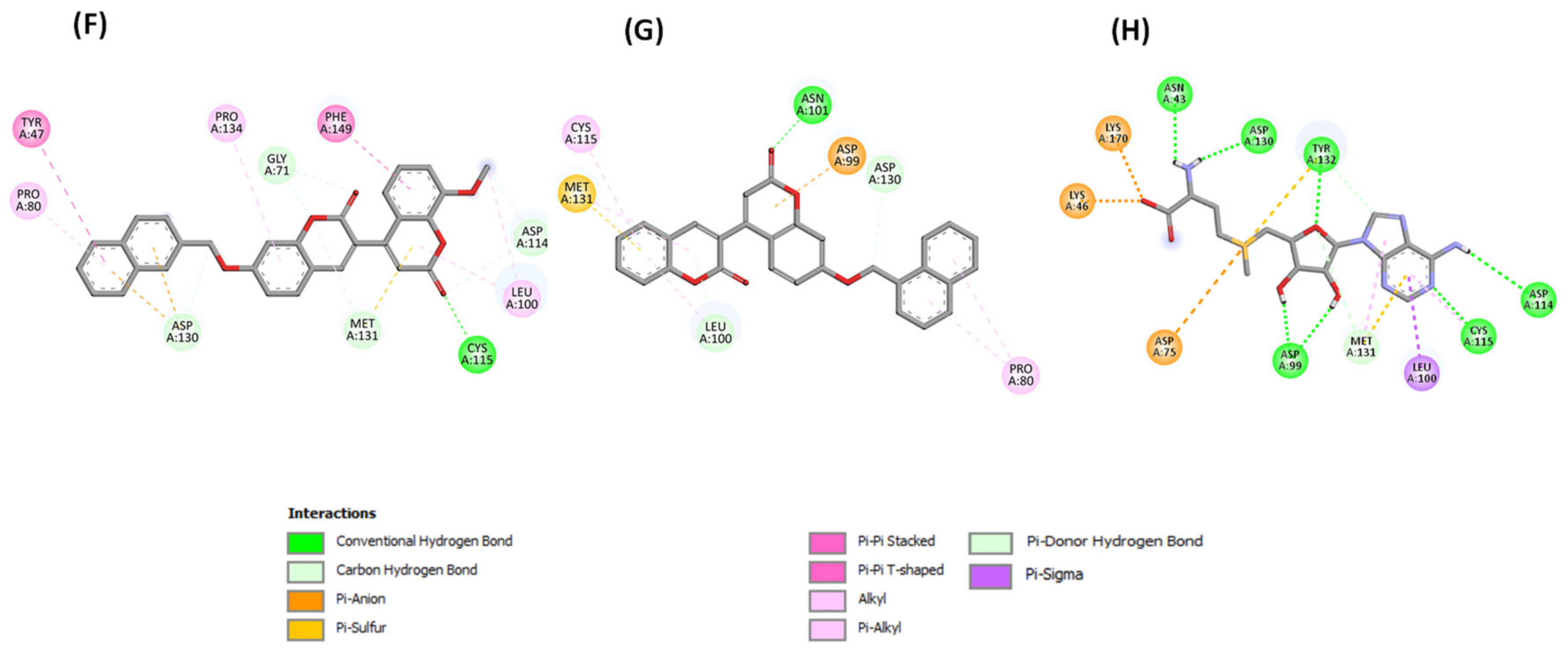 Molecules 28 00988 g006b Molecules 28 00988 g006b