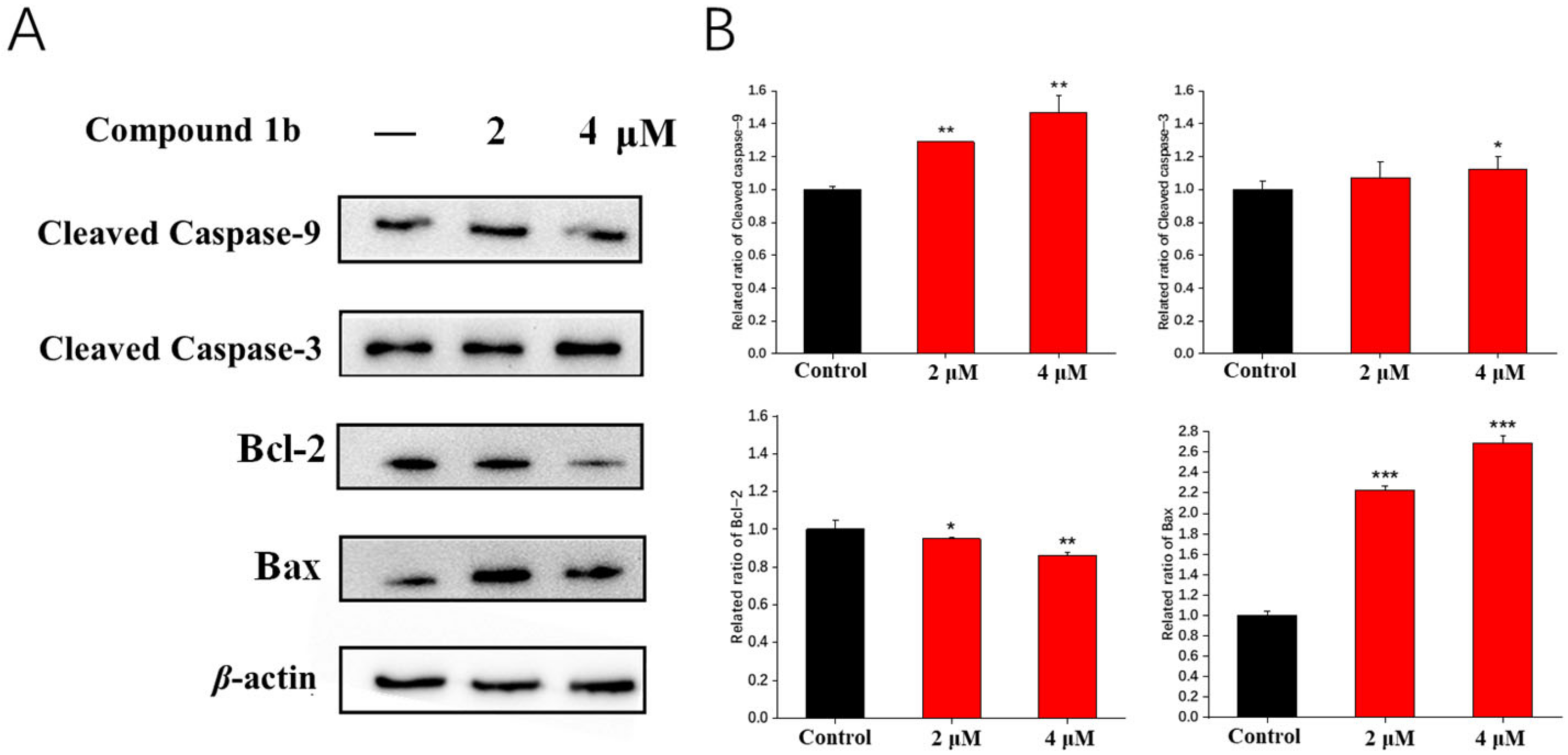 Molecules 28 01016 g005