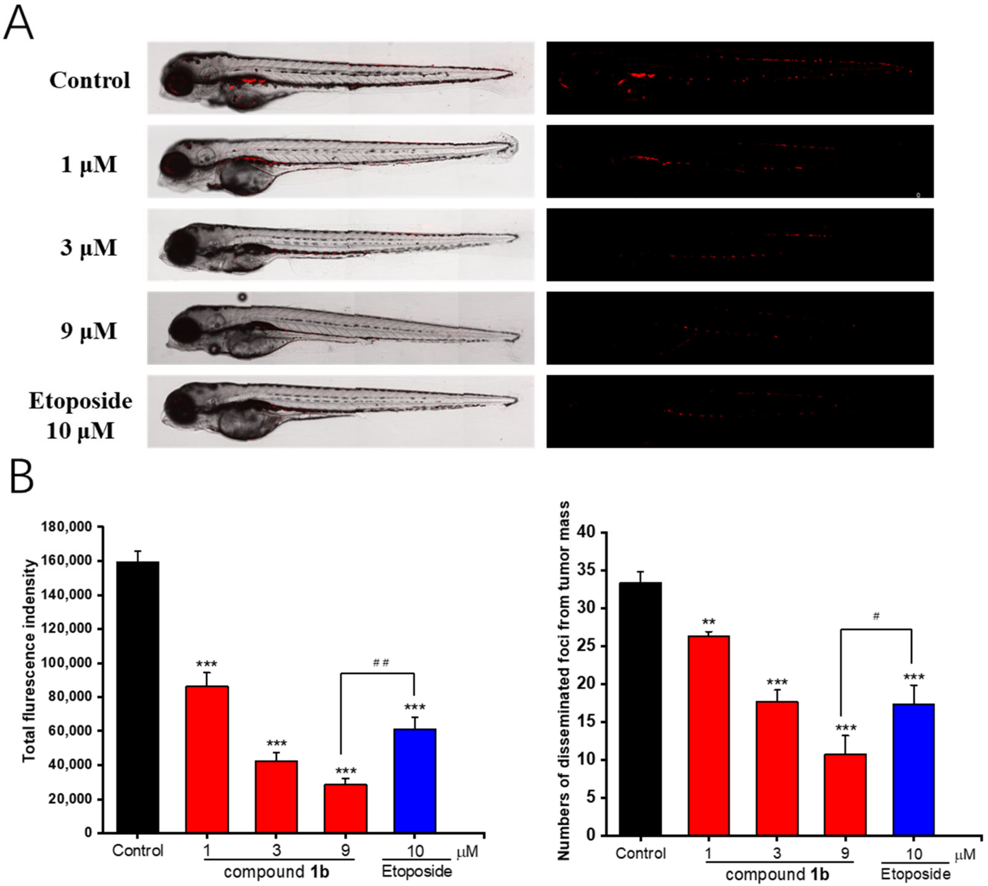 Molecules 28 01016 g006