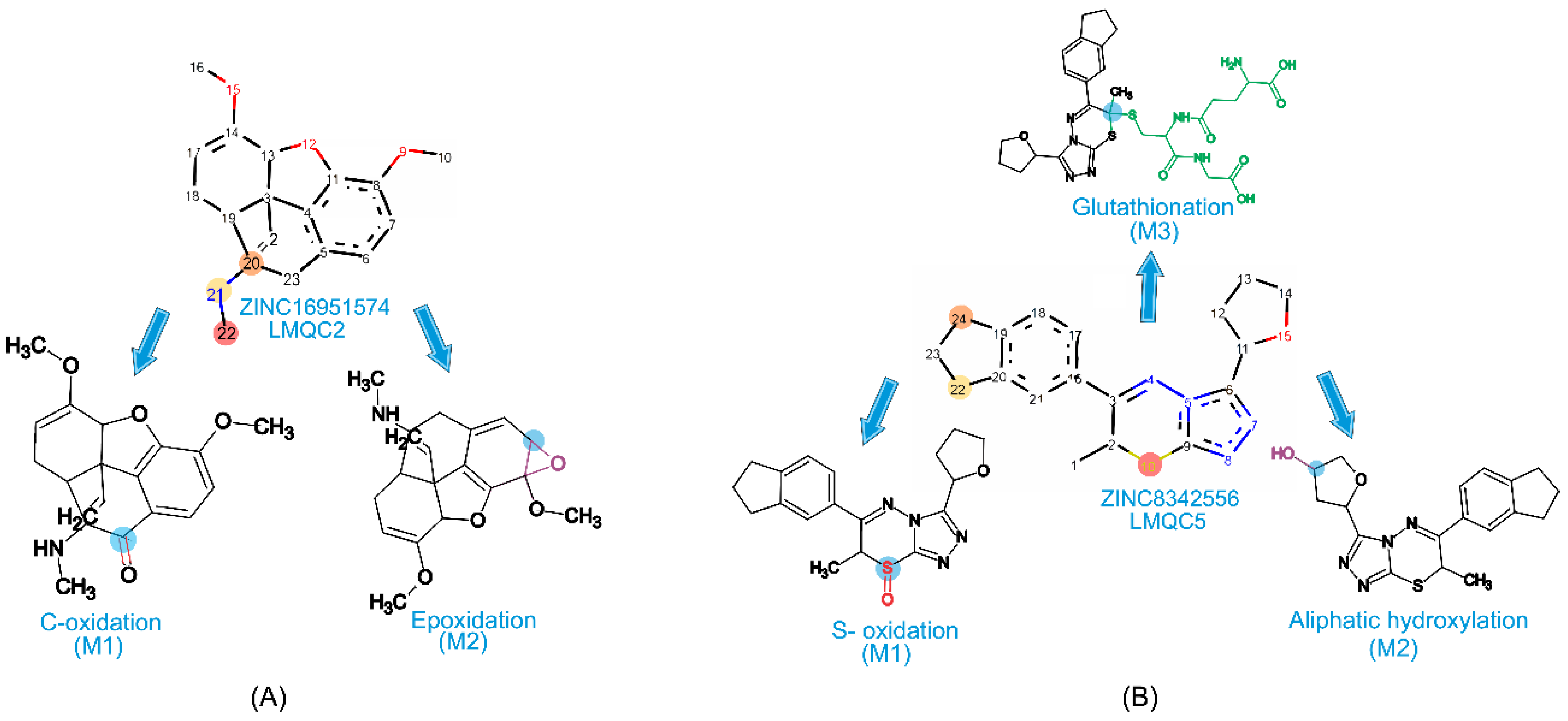 Molecules 28 01035 g006 Molecules 28 01035 g006