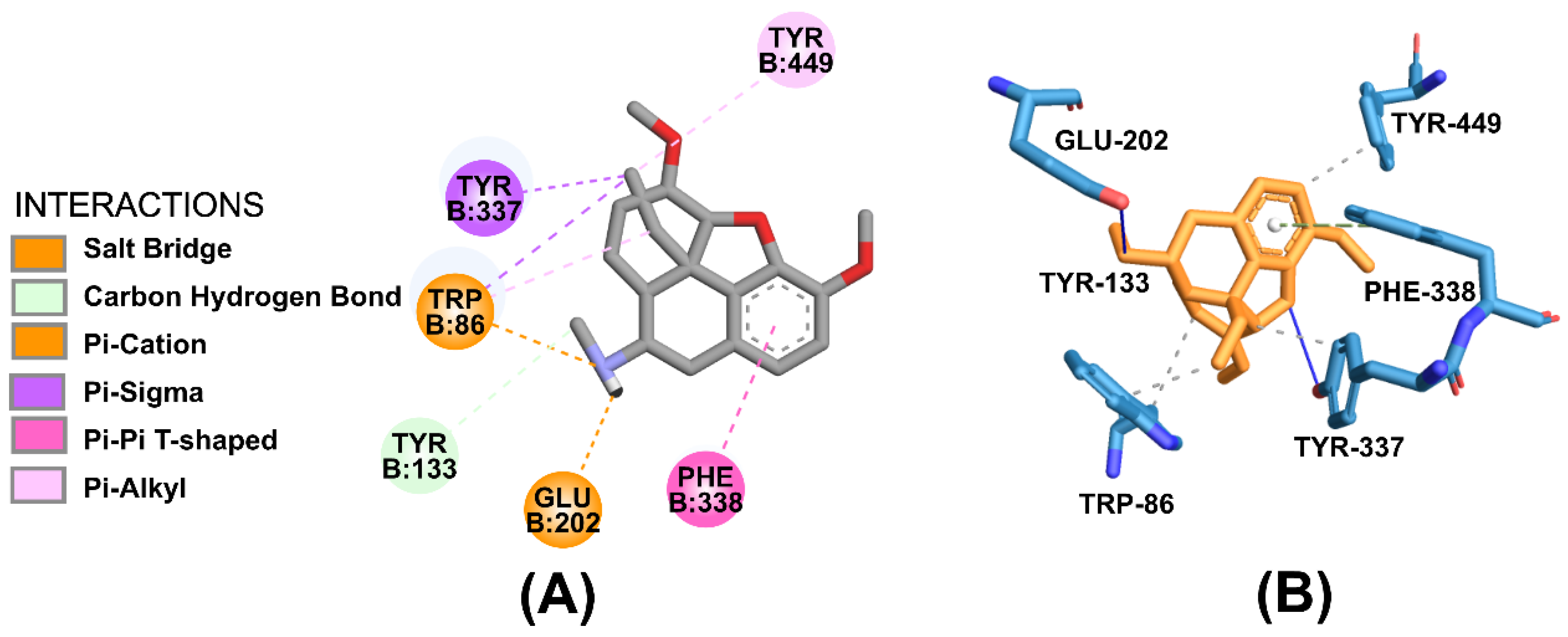 Molecules 28 01035 g009 Molecules 28 01035 g009
