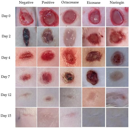 Molecules | Free Full-Text | Antioxidant, Wound Healing Potential and ...