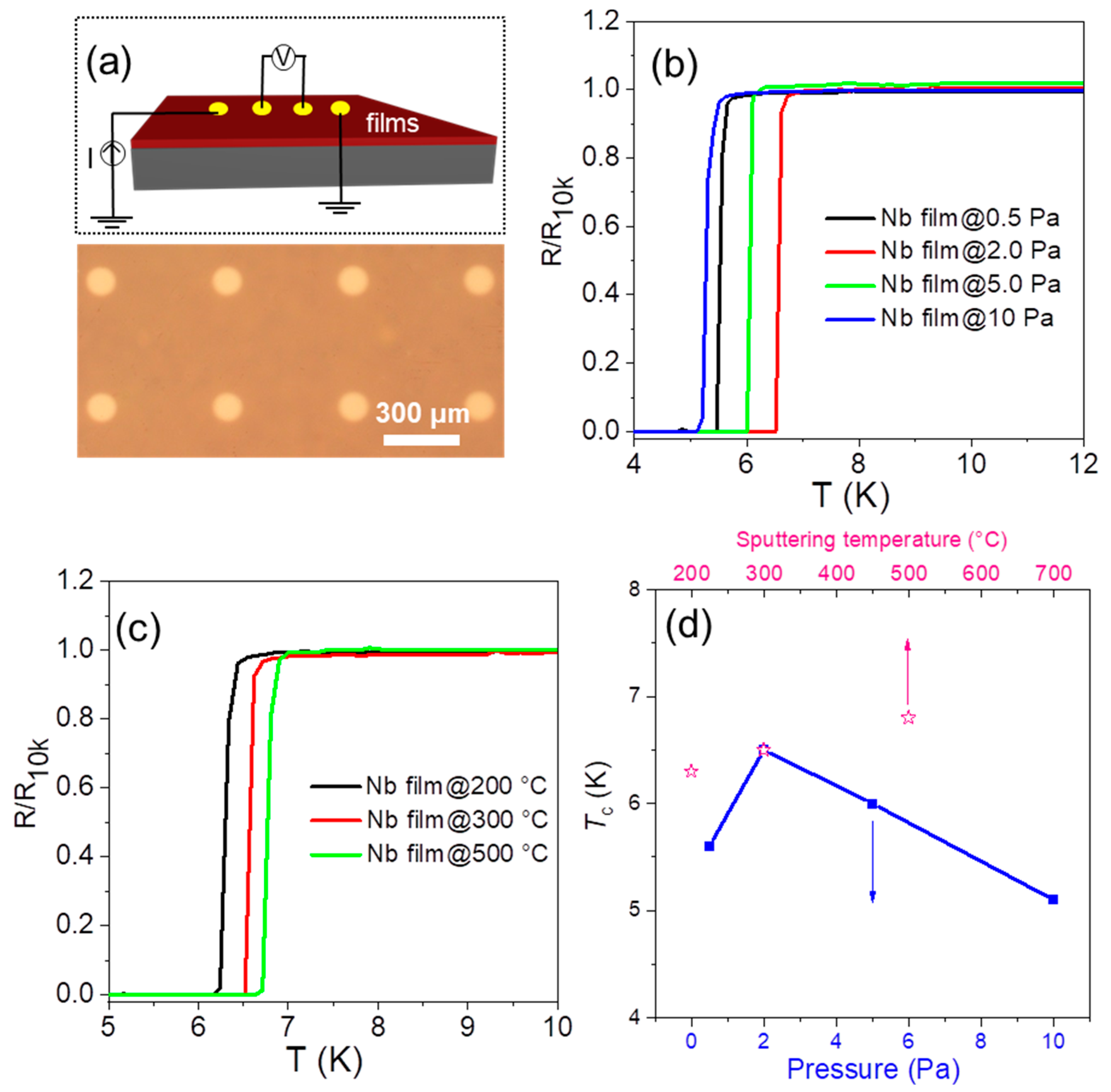Molecules 28 01059 g002 Molecules 28 01059 g002
