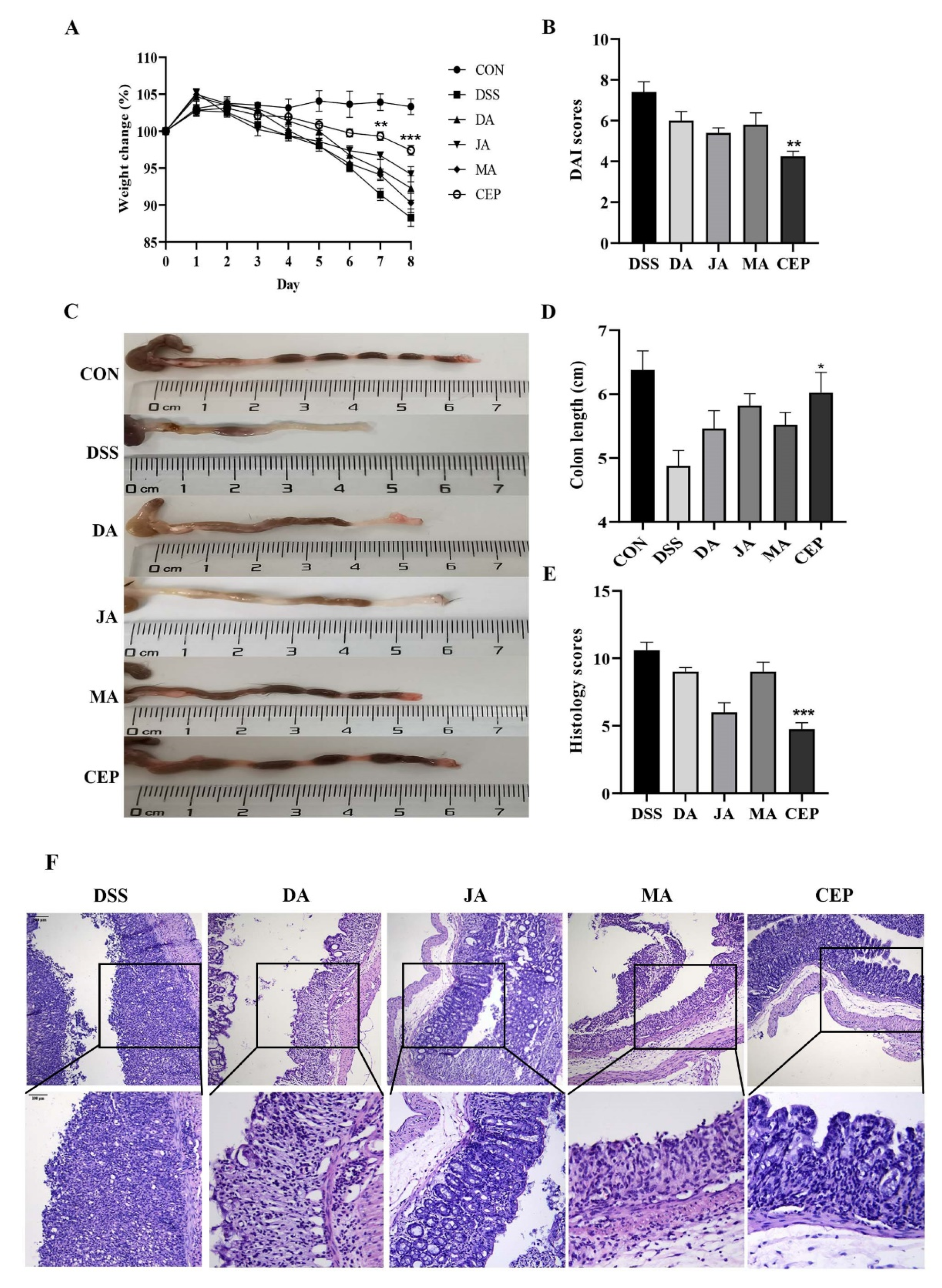 Molecules 28 01060 g001