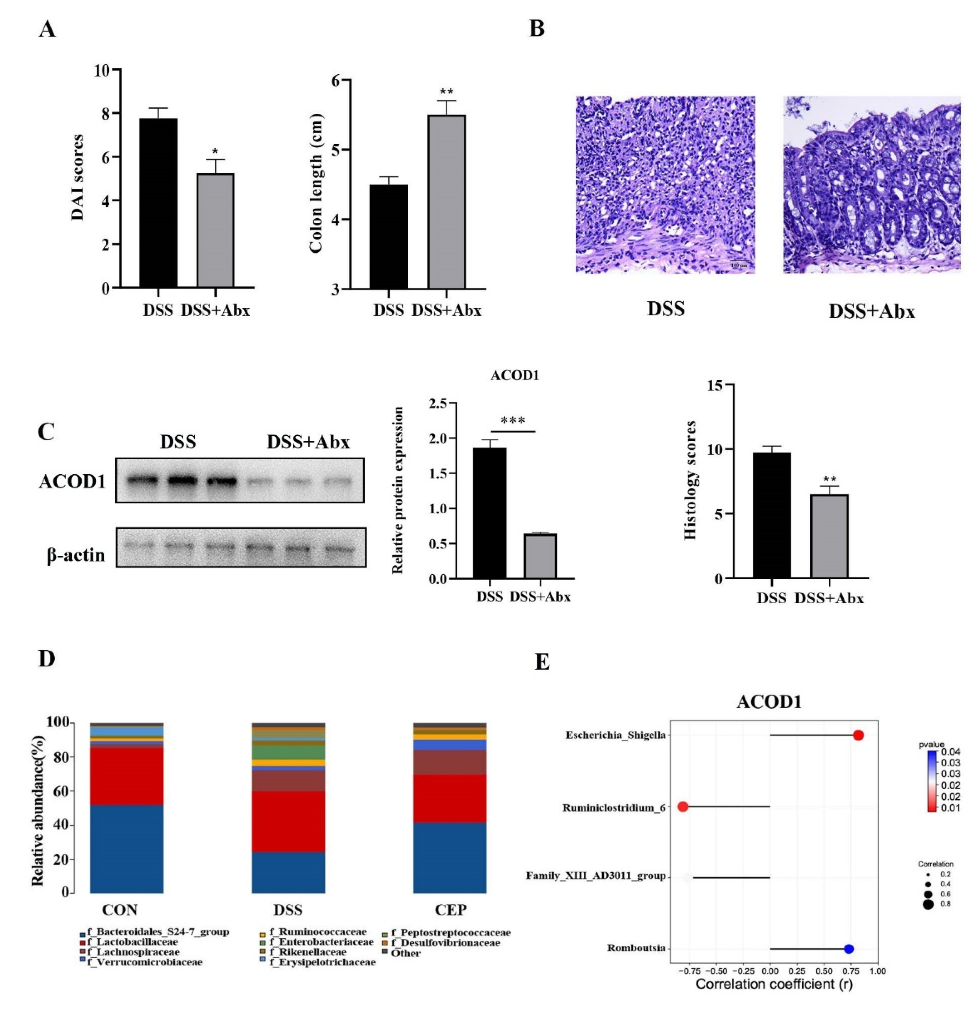 Molecules 28 01060 g004