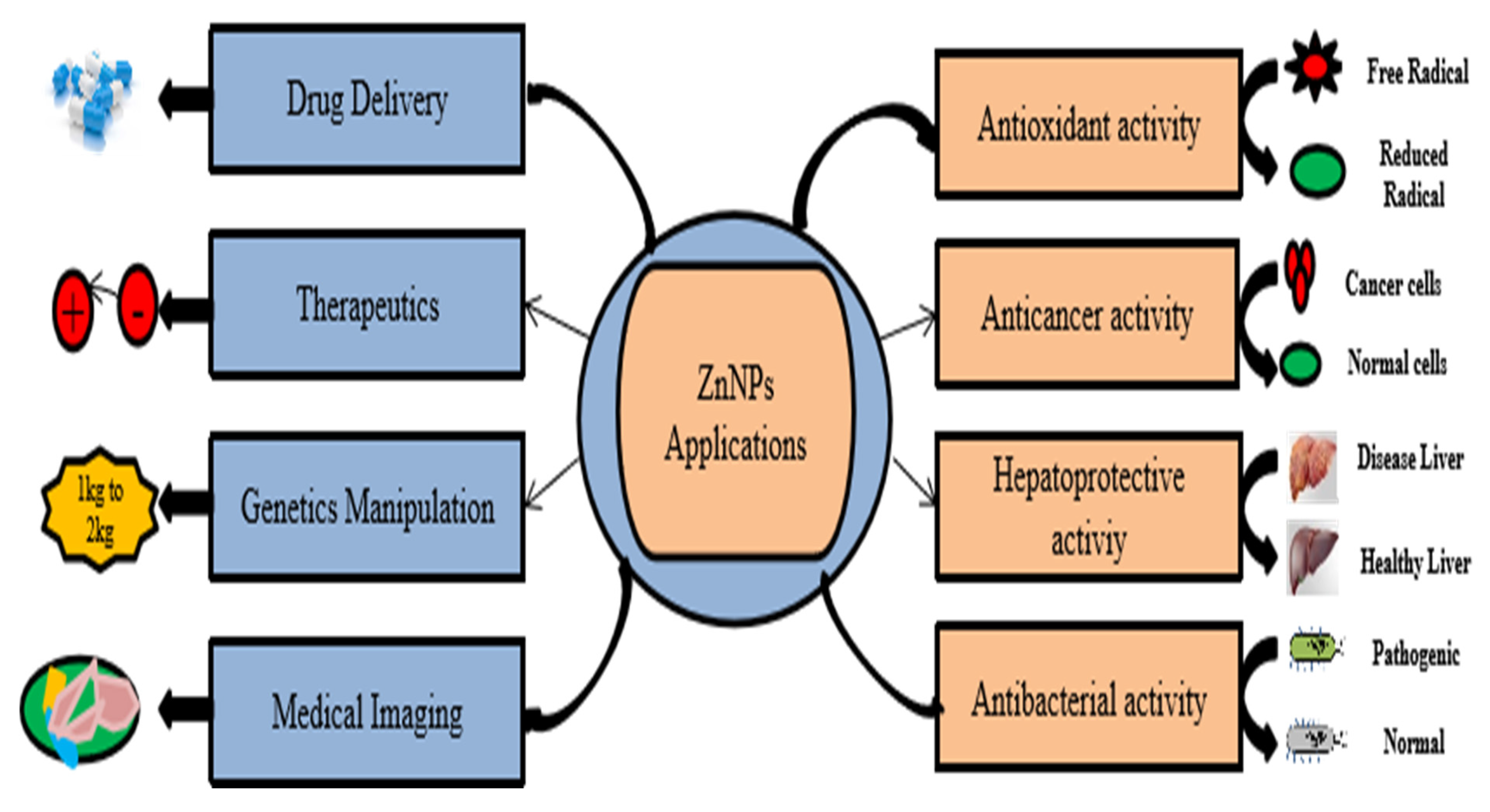 Molecules 28 01064 g002 Molecules 28 01064 g002