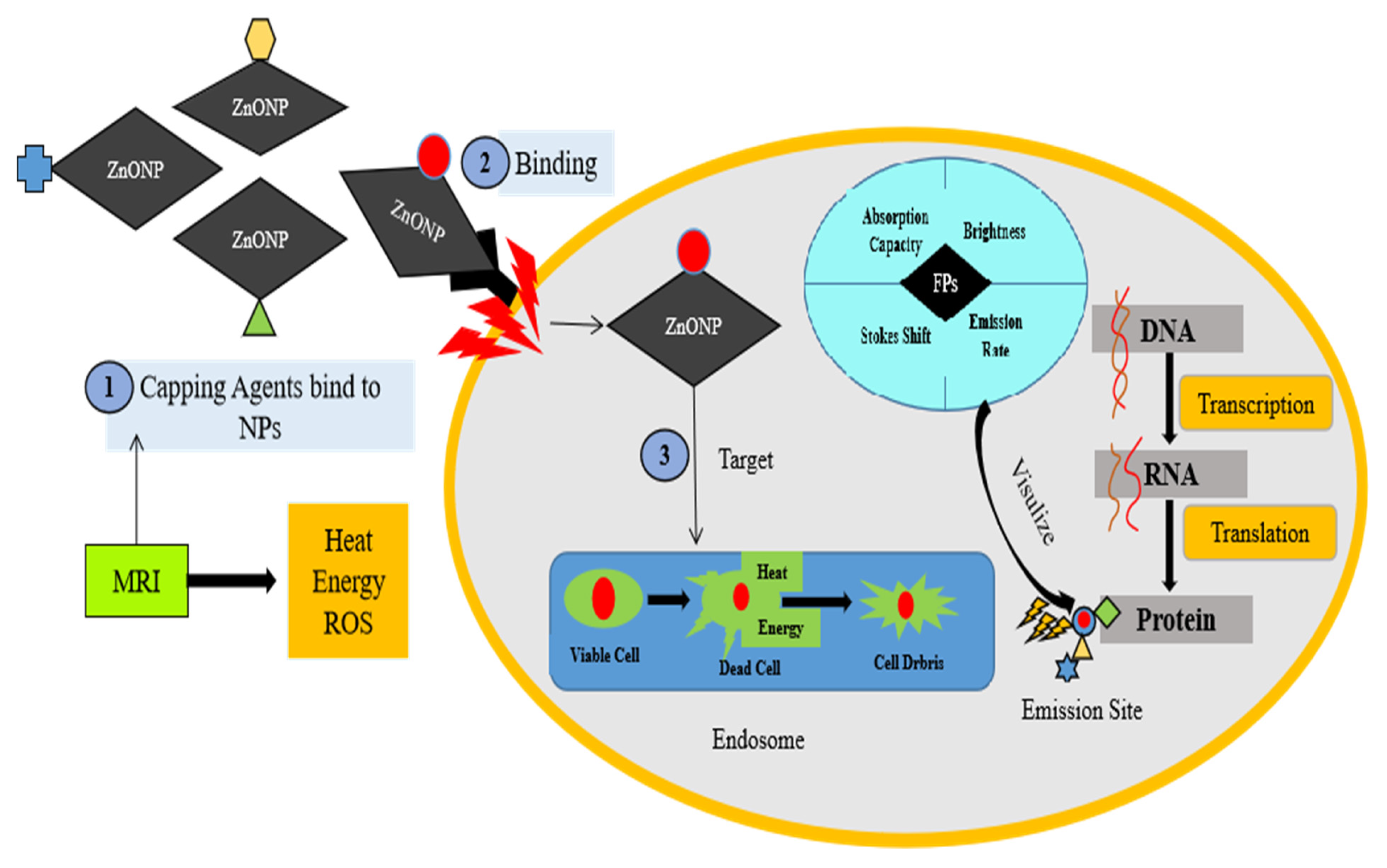 Molecules 28 01064 g006 Molecules 28 01064 g006