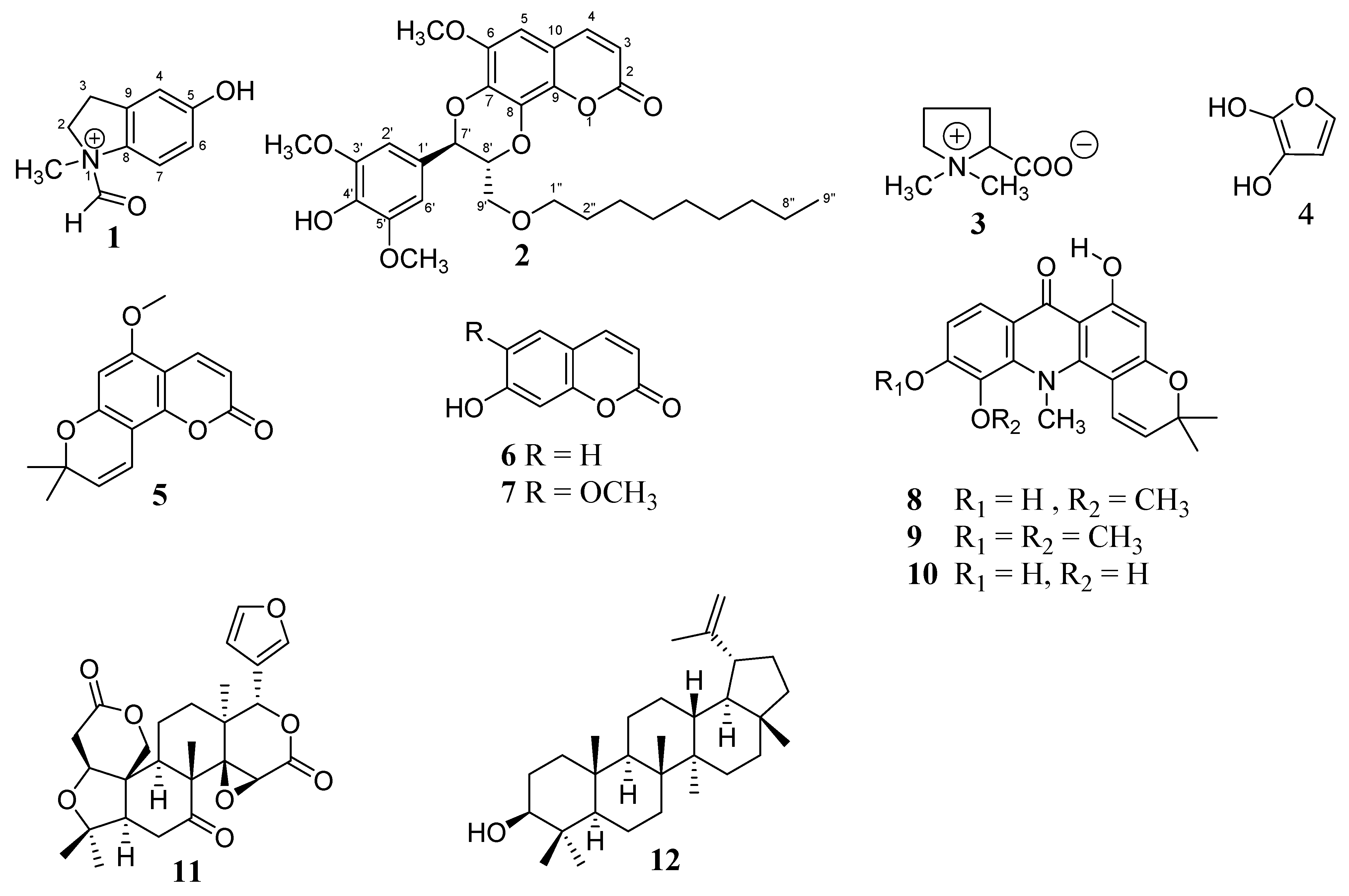 Molecules 28 01078 g001 Molecules 28 01078 g001