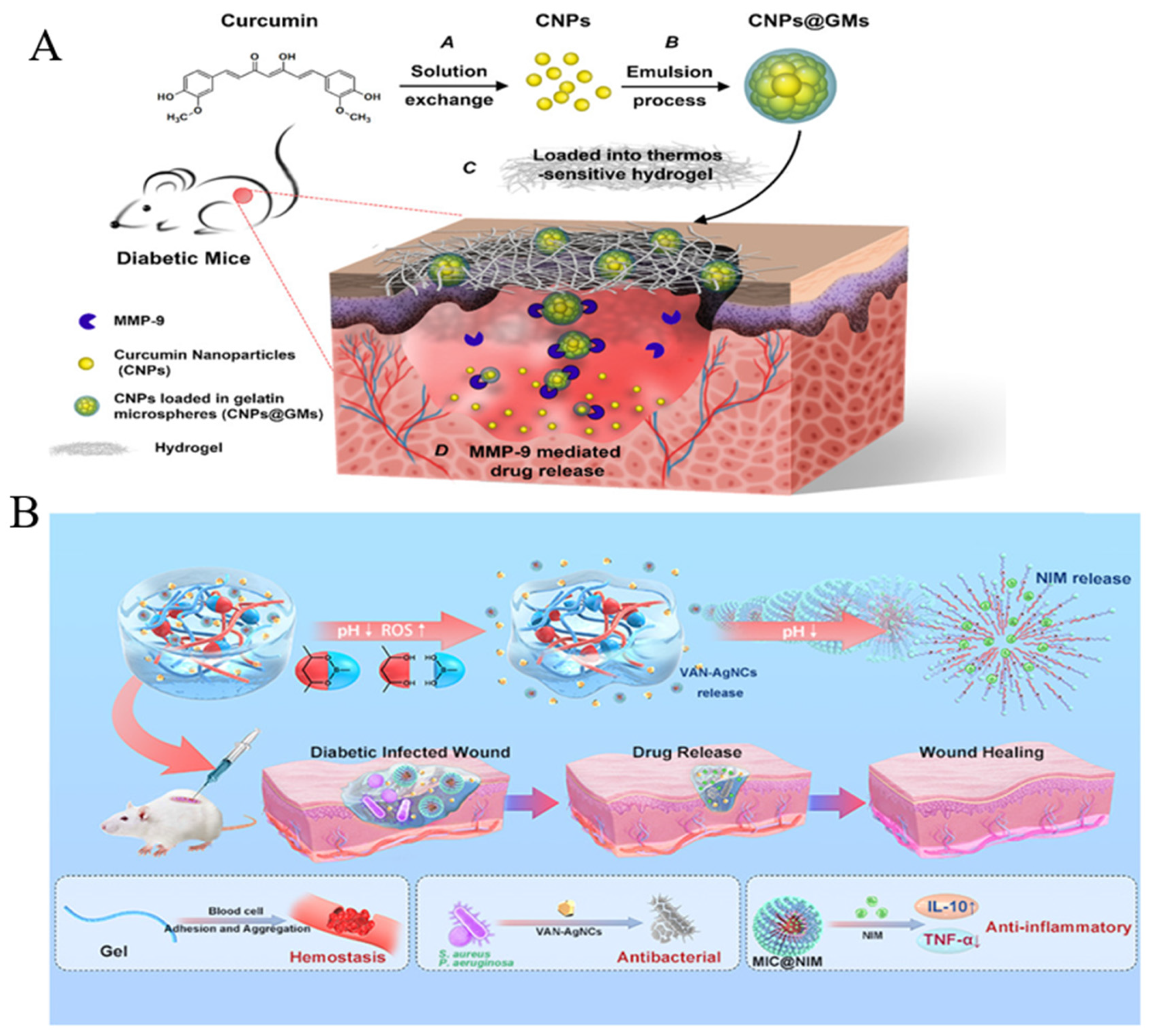 Molecules 28 01110 g003