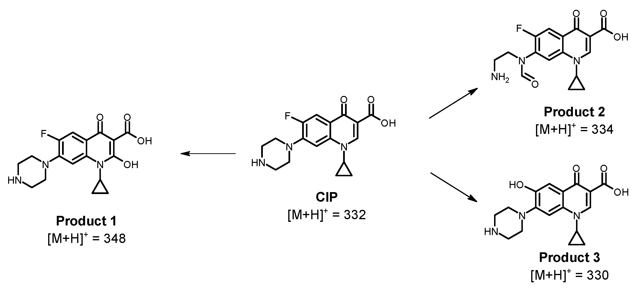 Molecules 28 01113 g007