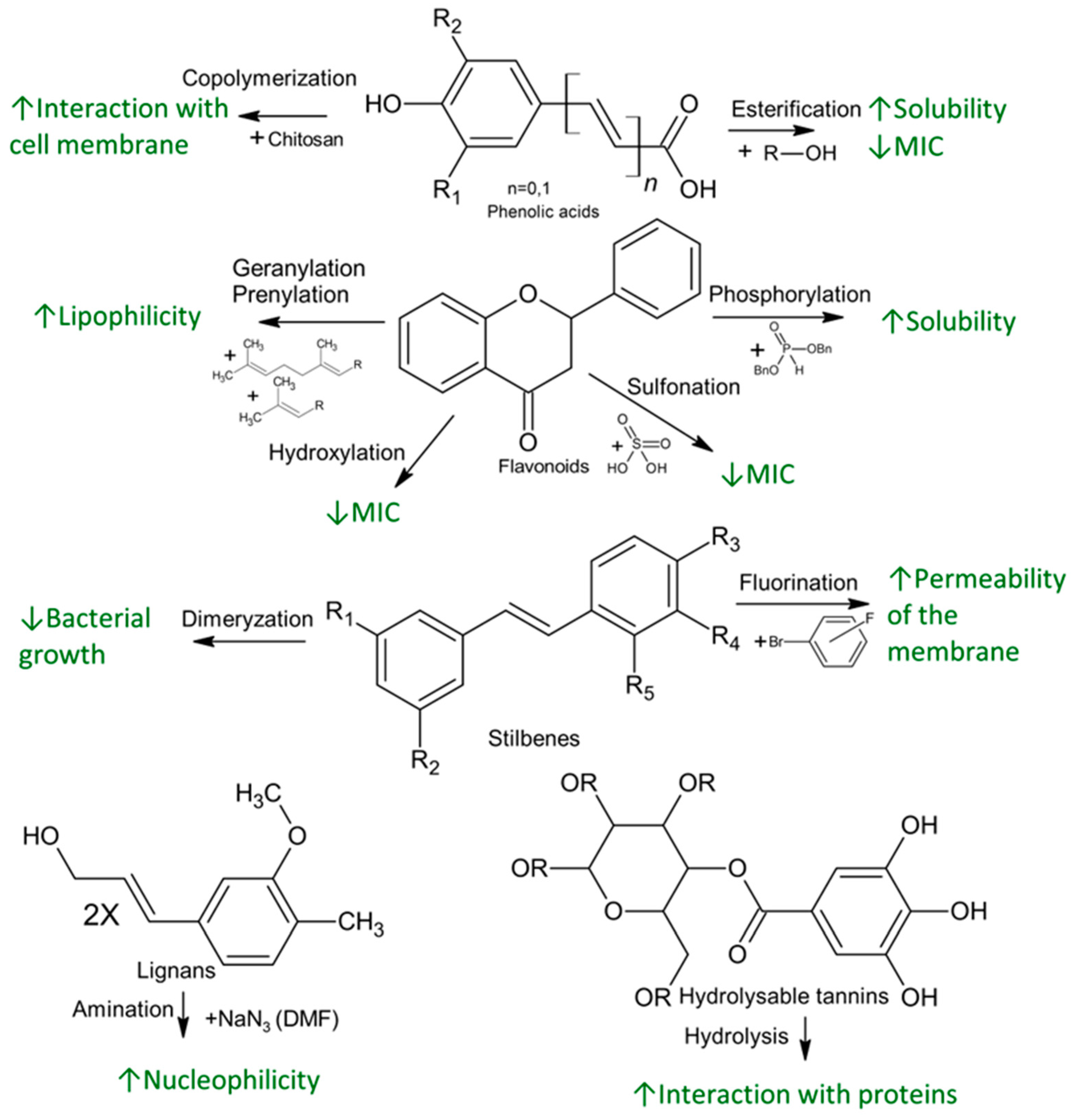 Molecules 28 01114 g002