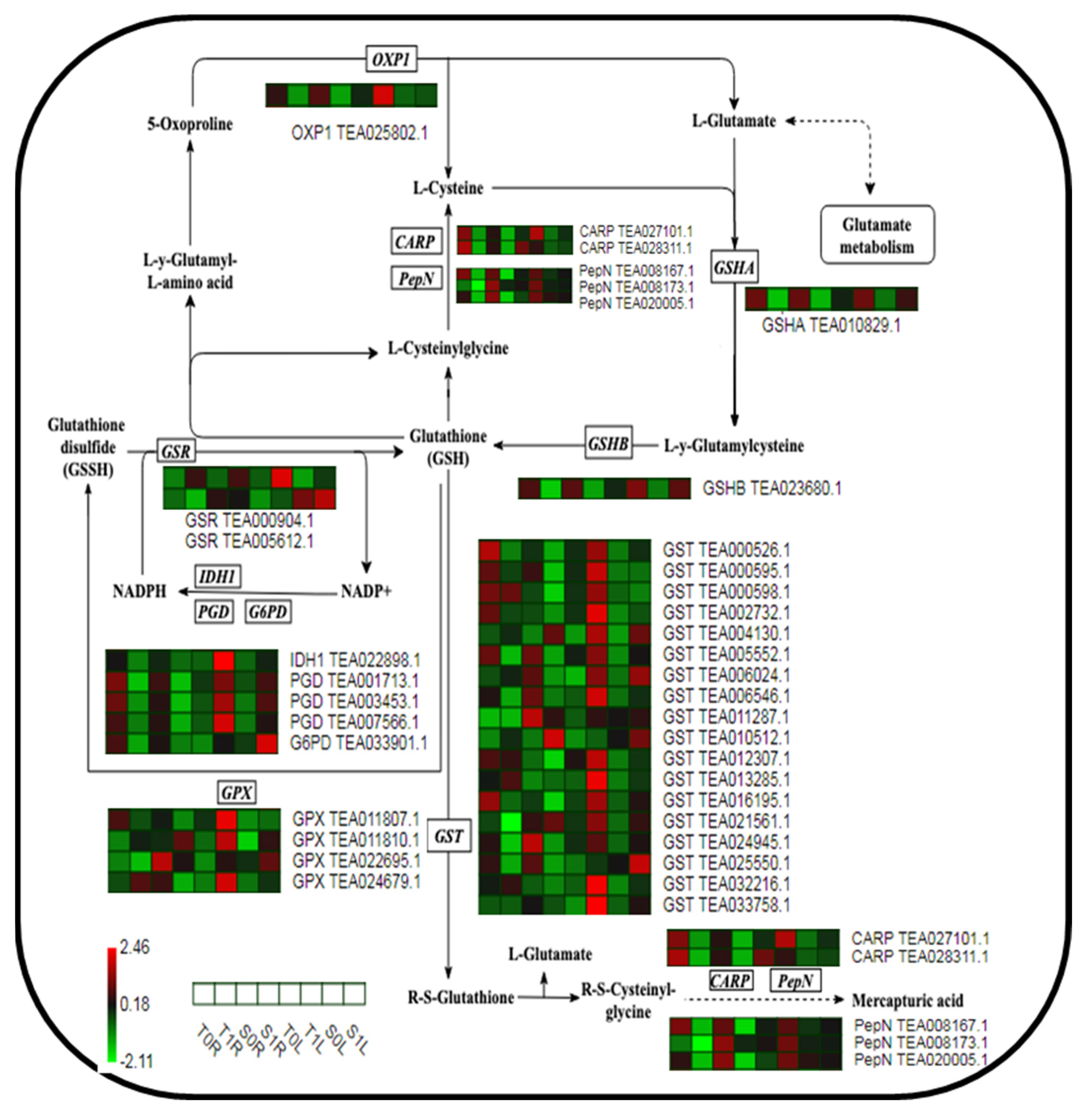 Molecules 28 01124 g004