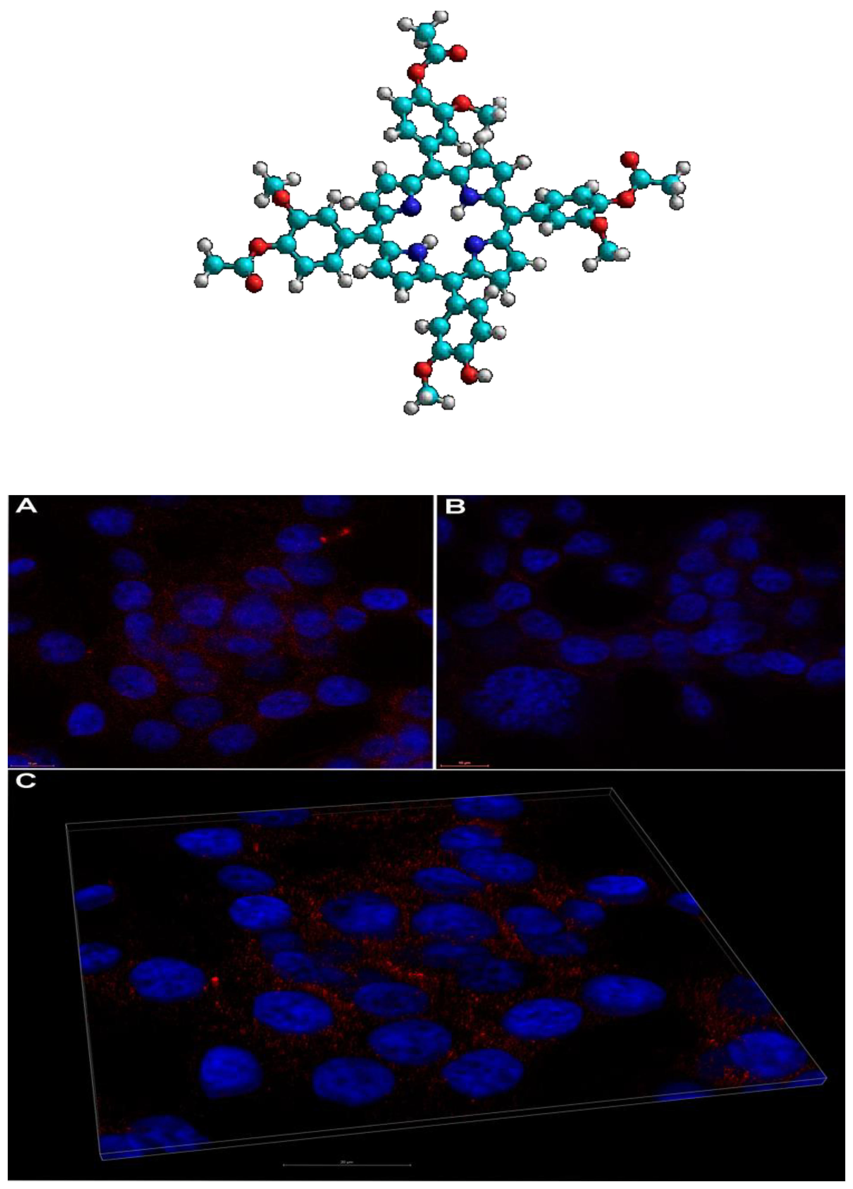 Molecules 28 01149 g005 Molecules 28 01149 g005