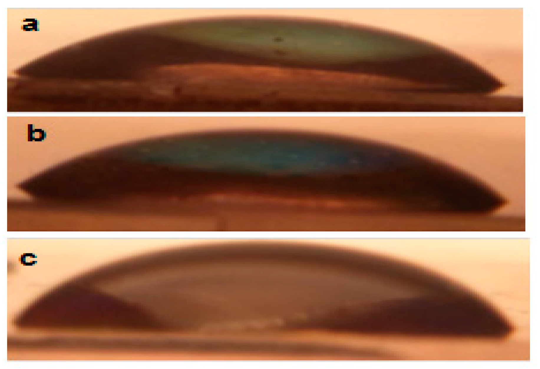 Molecules 28 01160 g004