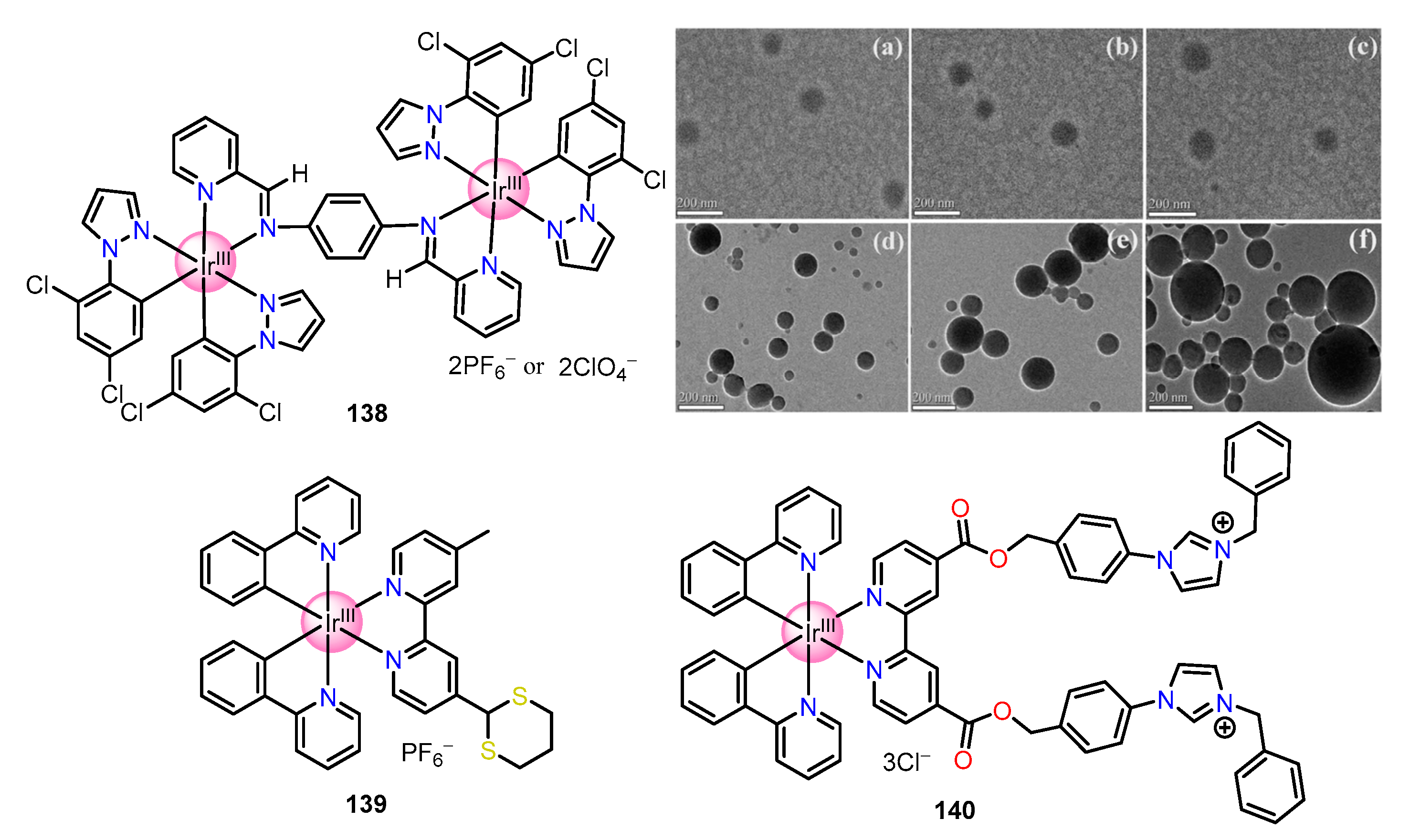 Molecules 28 01231 g020 Molecules 28 01231 g020