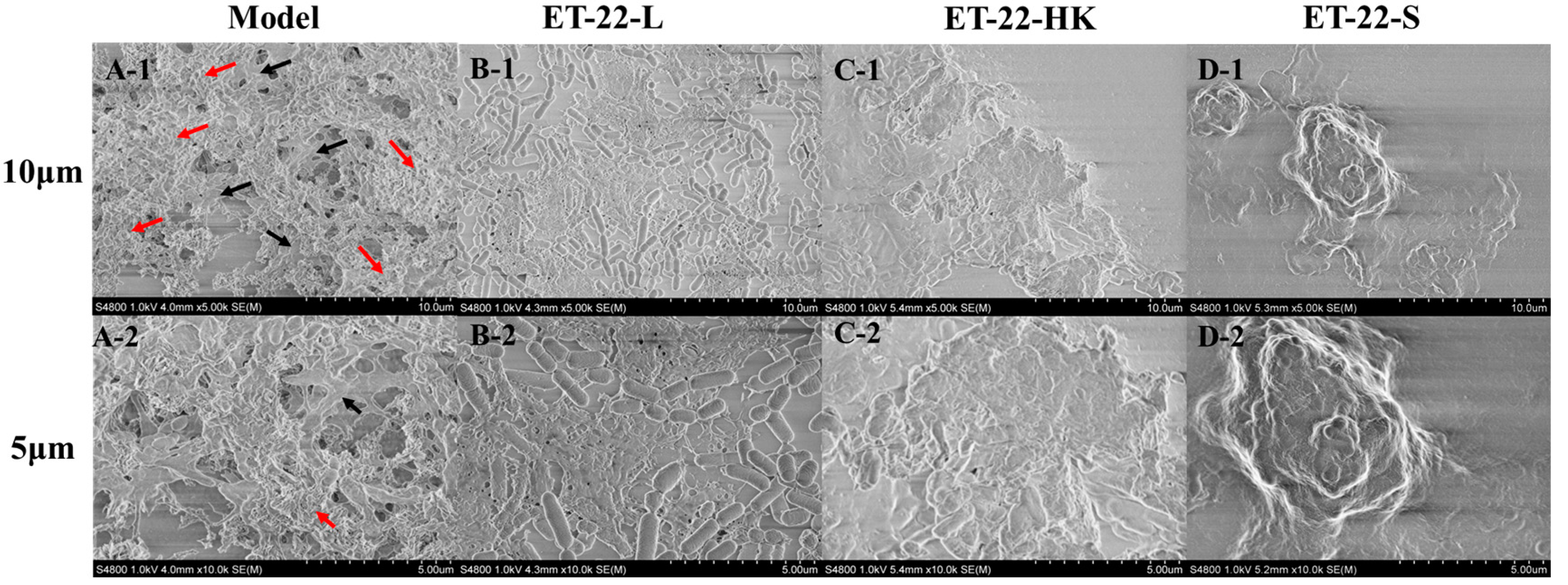 Molecules 28 01236 g002