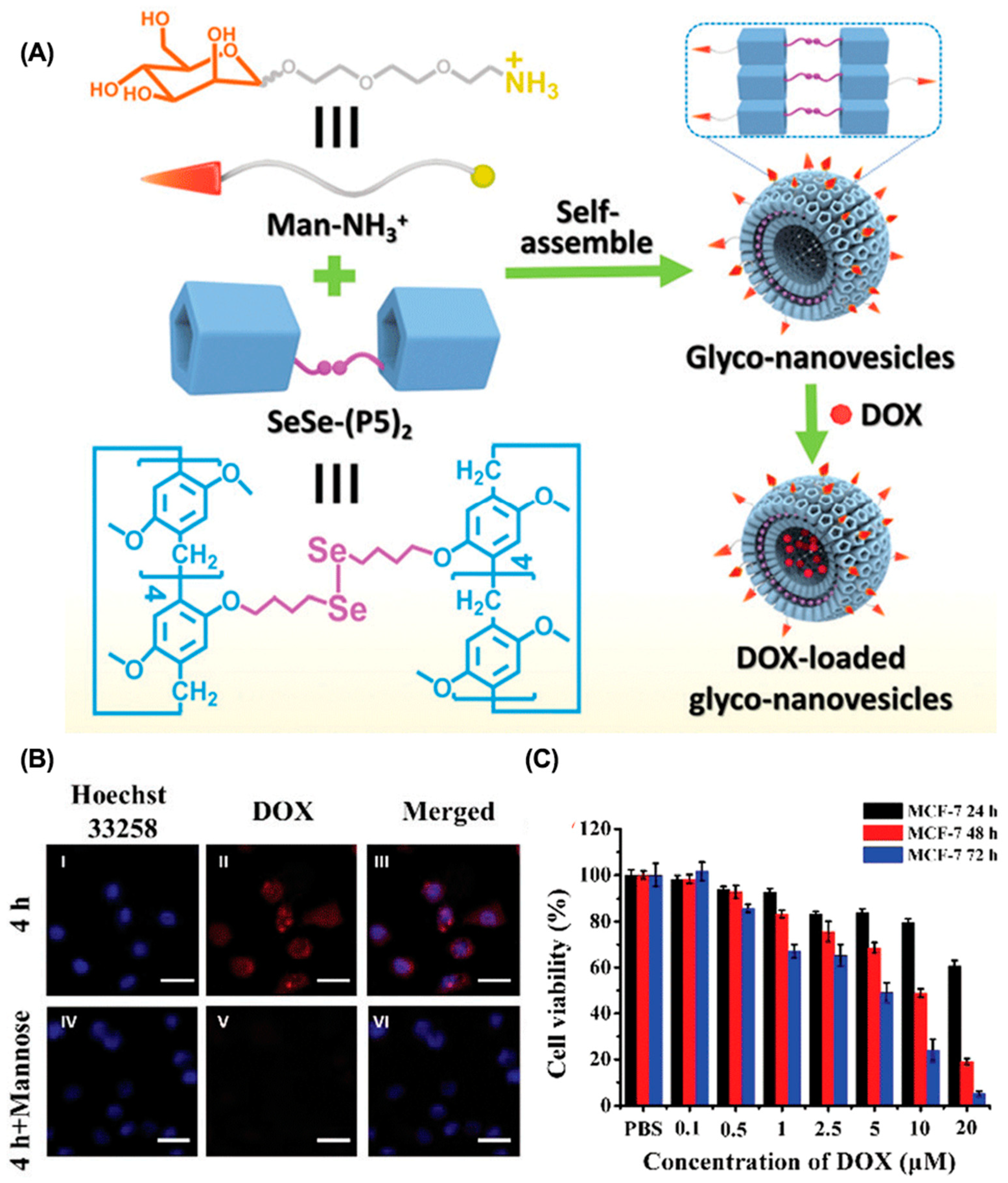 Molecules 28 01241 g002 Molecules 28 01241 g002