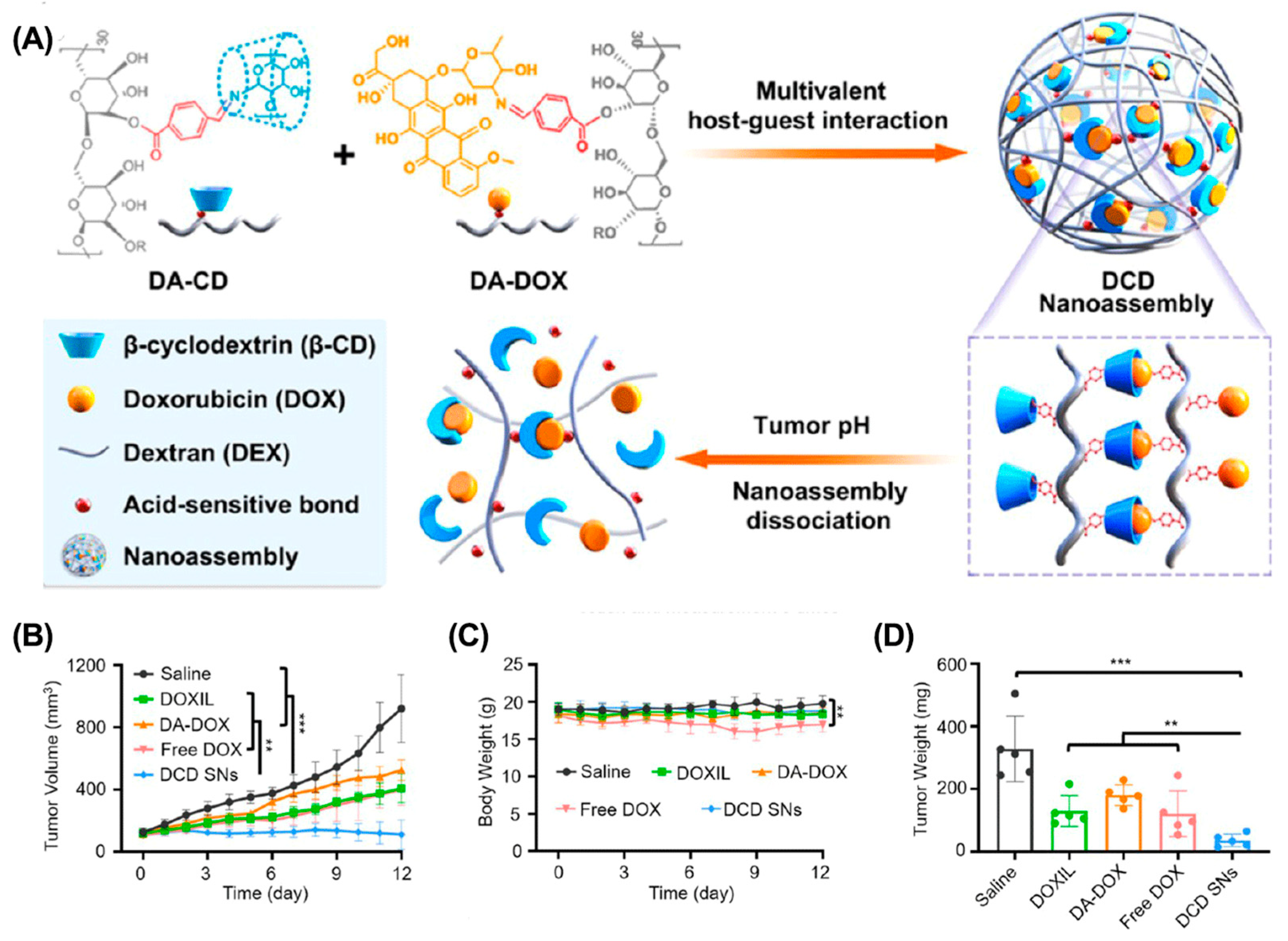 Molecules 28 01241 g004 Molecules 28 01241 g004
