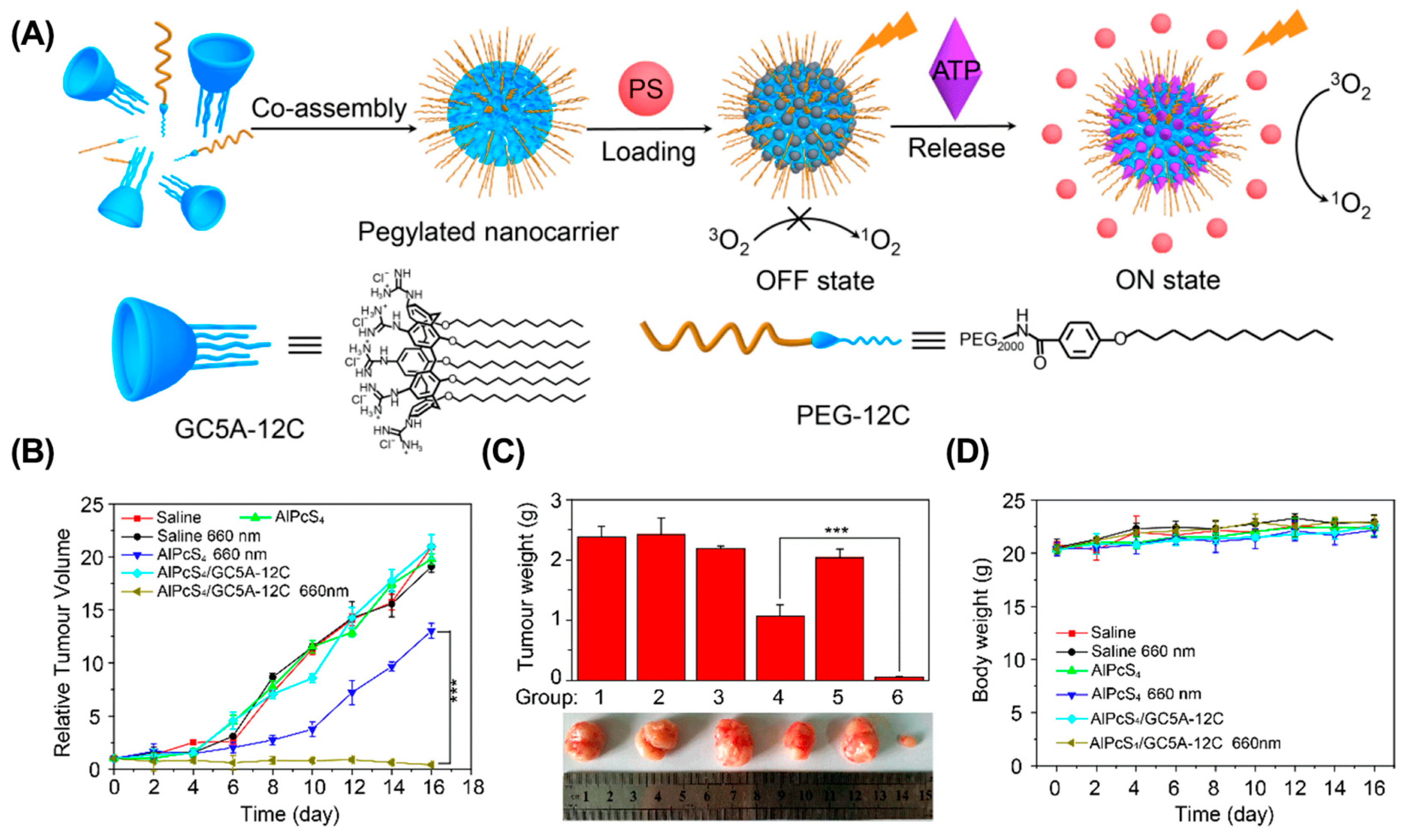 Molecules 28 01241 g006 Molecules 28 01241 g006