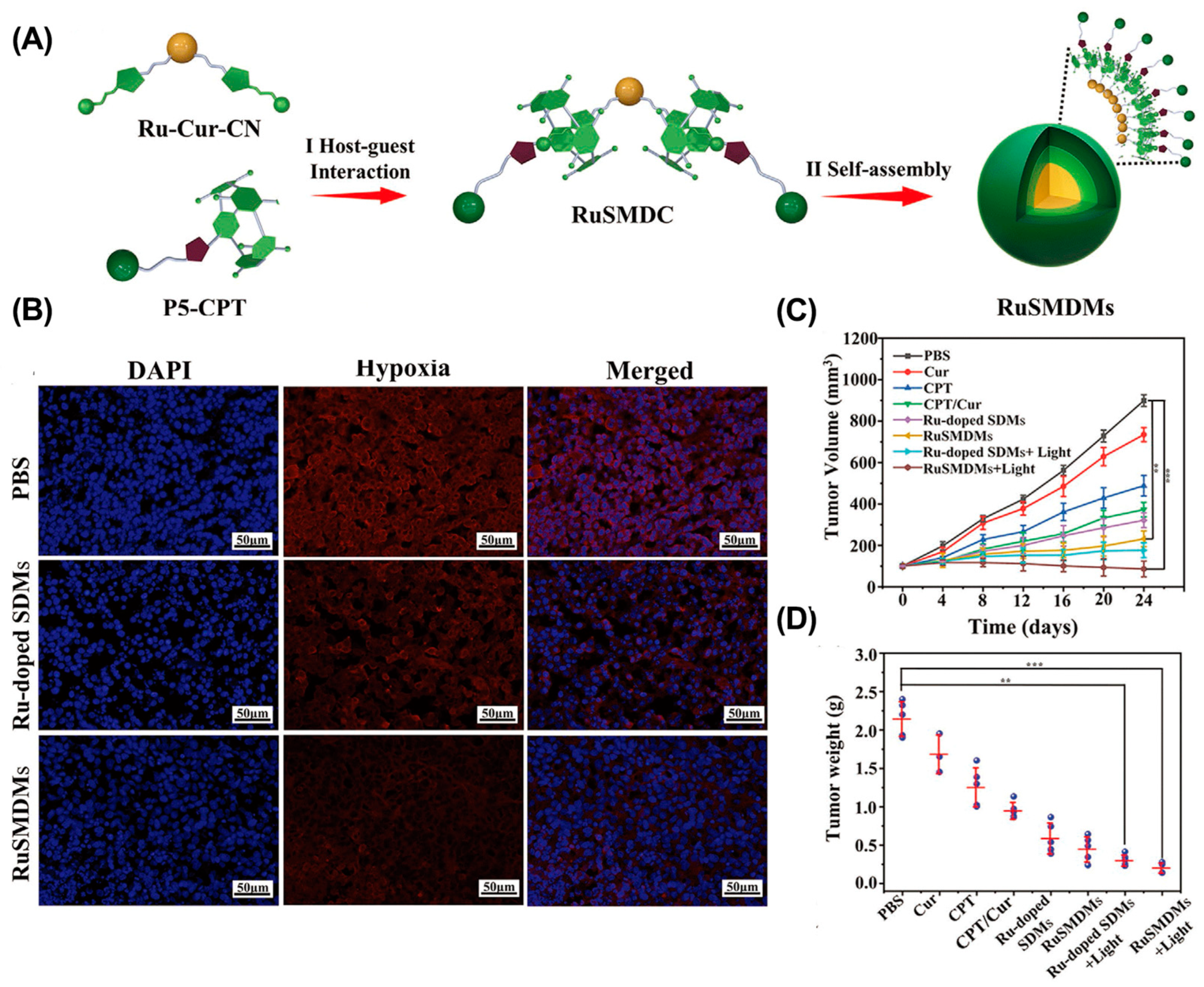 Molecules 28 01241 g008 Molecules 28 01241 g008