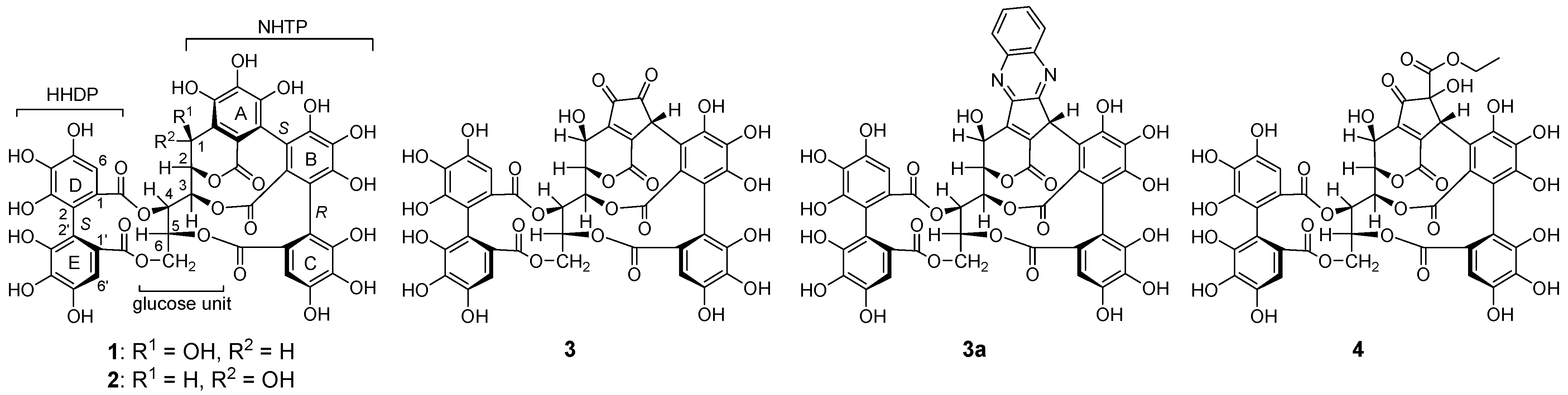 Molecules 28 01246 g001
