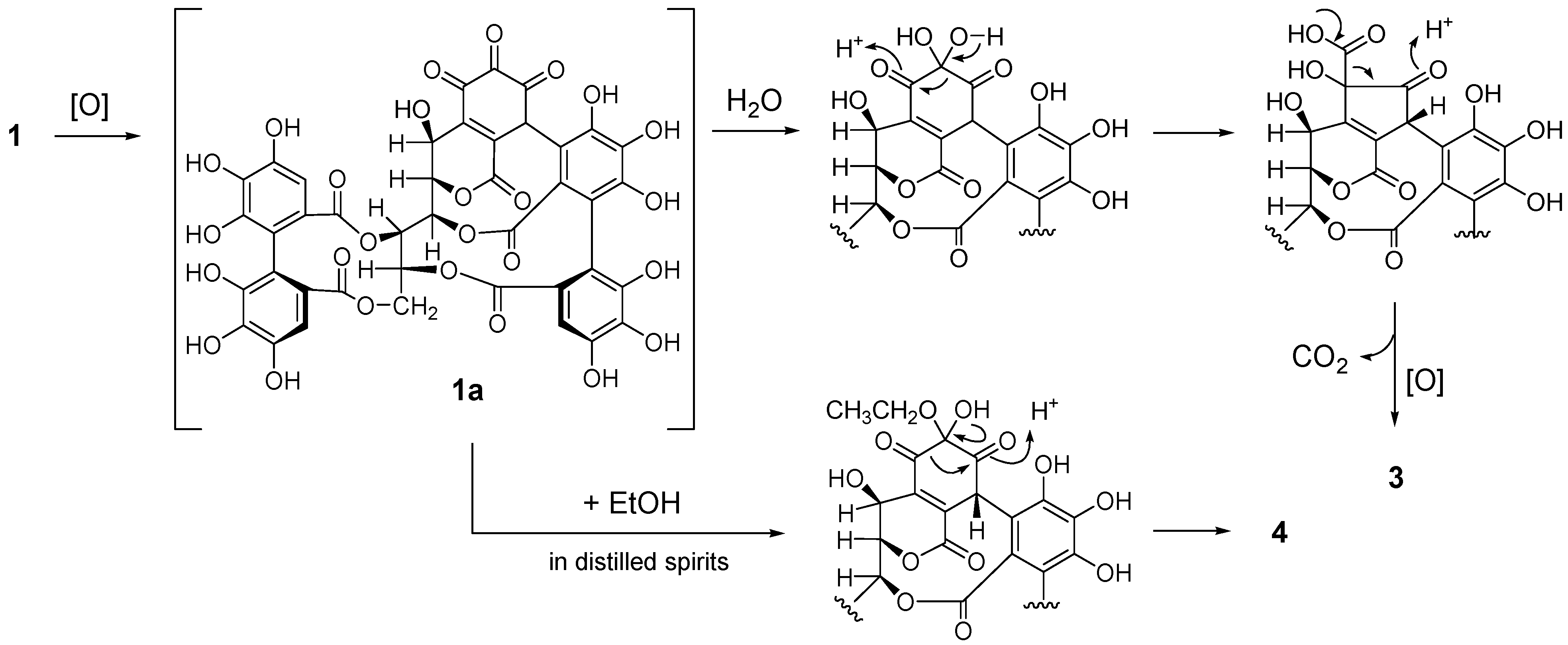 Molecules 28 01246 sch001