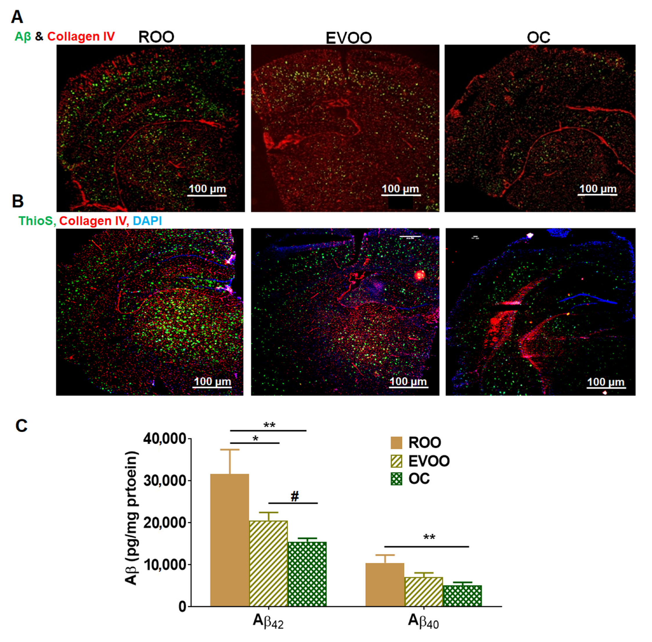 Molecules 28 01249 g001