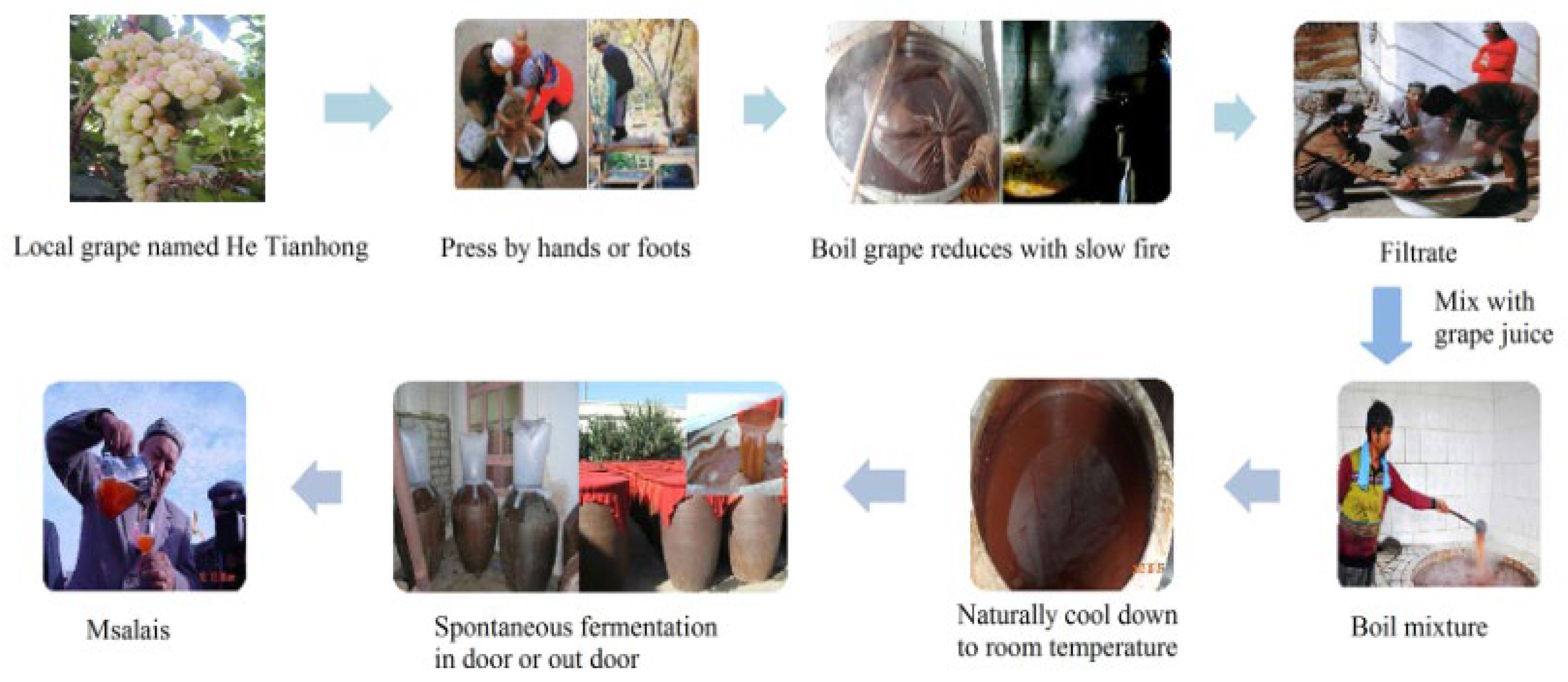 Molecules 28 01250 g001 Molecules 28 01250 g001