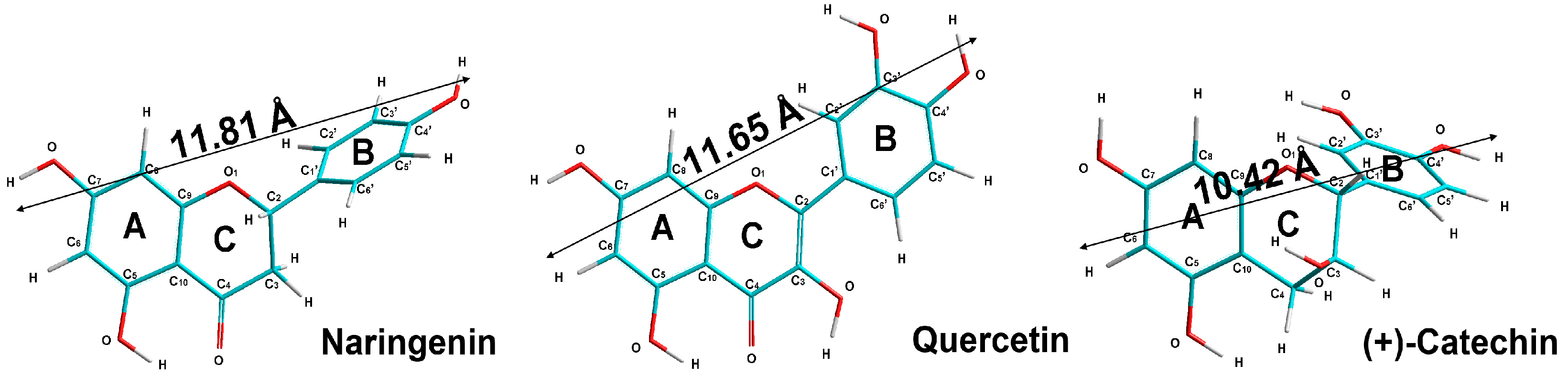 Molecules 28 01252 g001 Molecules 28 01252 g001