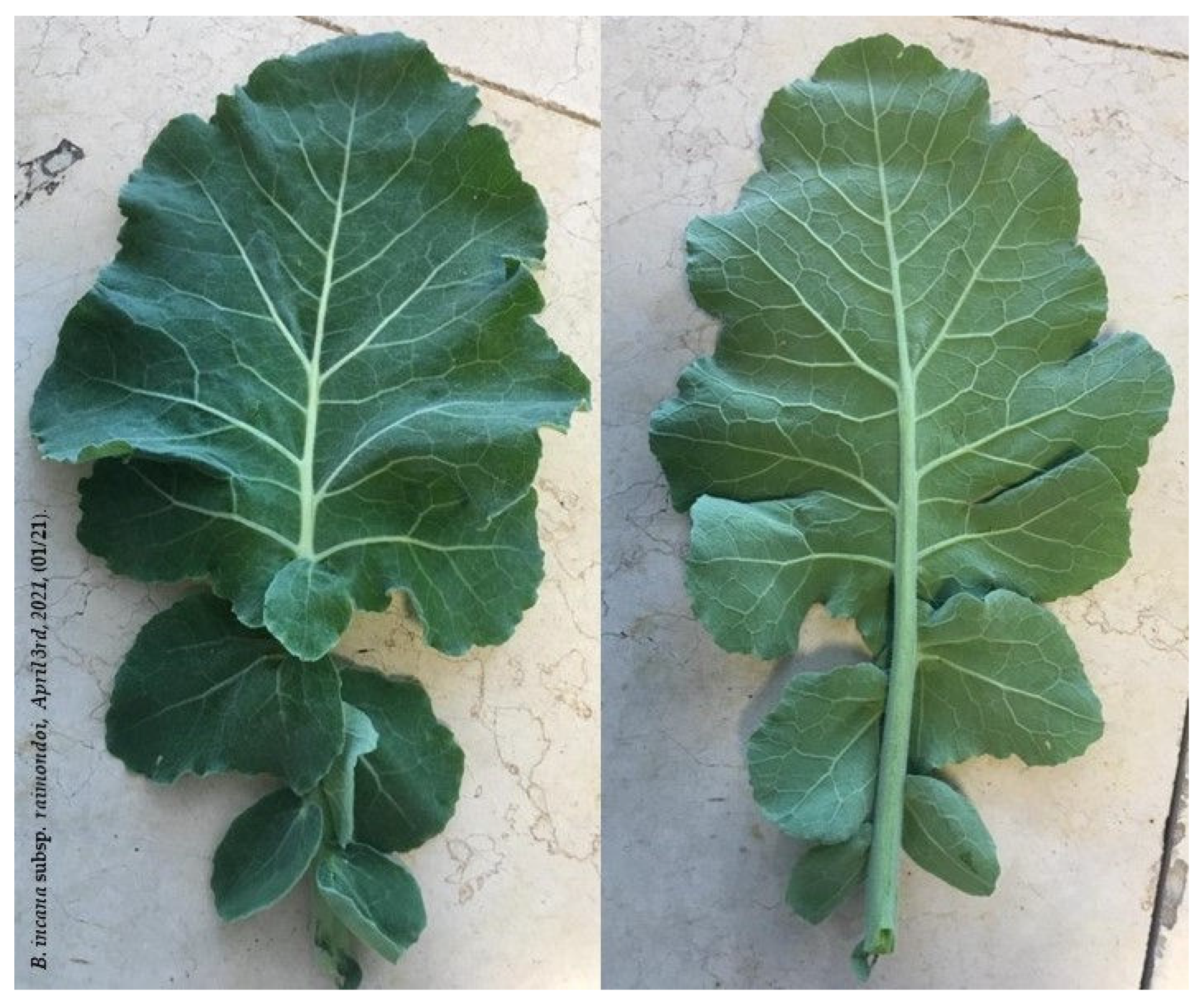 Molecules 28 01254 g007