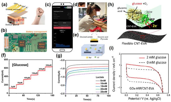 Molecules | Free Full-Text | Electrochemical Nanosensors for