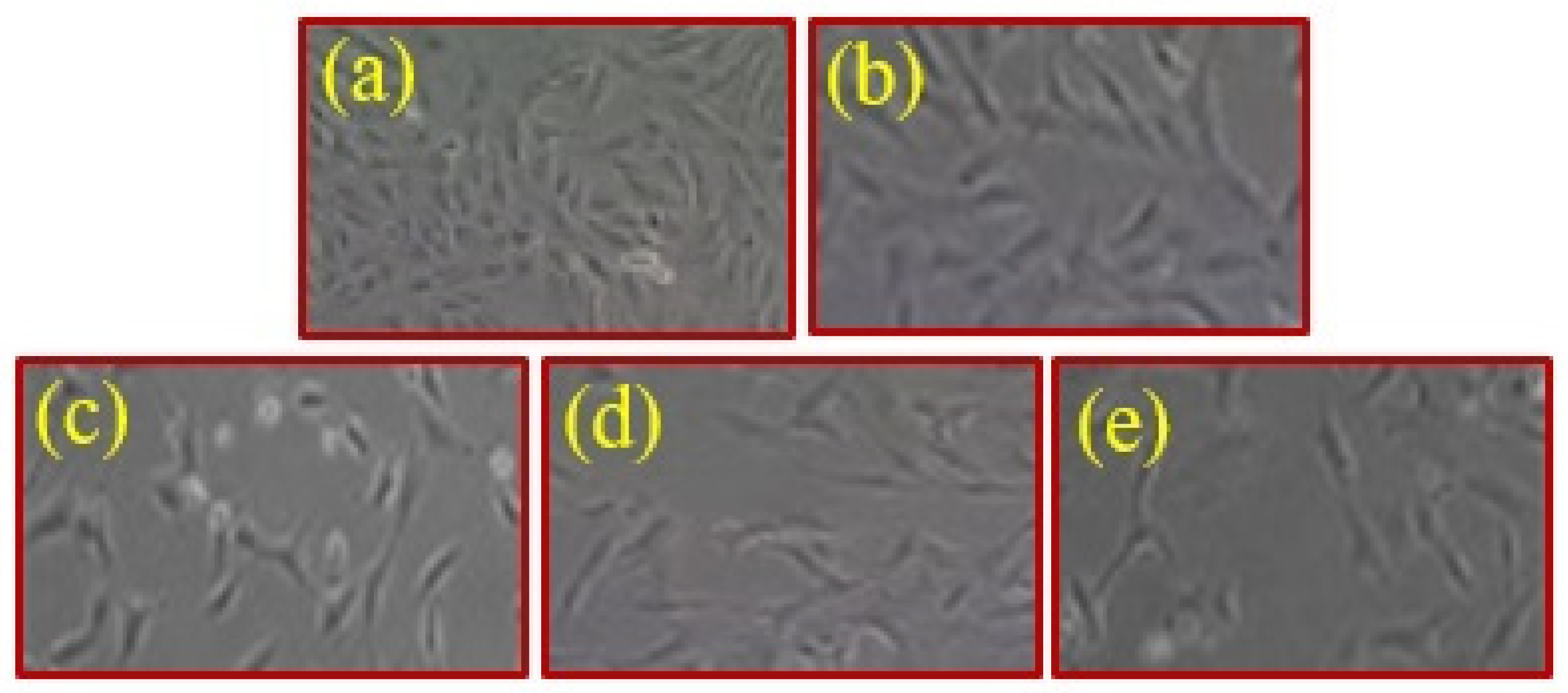 Molecules 28 01290 g008 Molecules 28 01290 g008