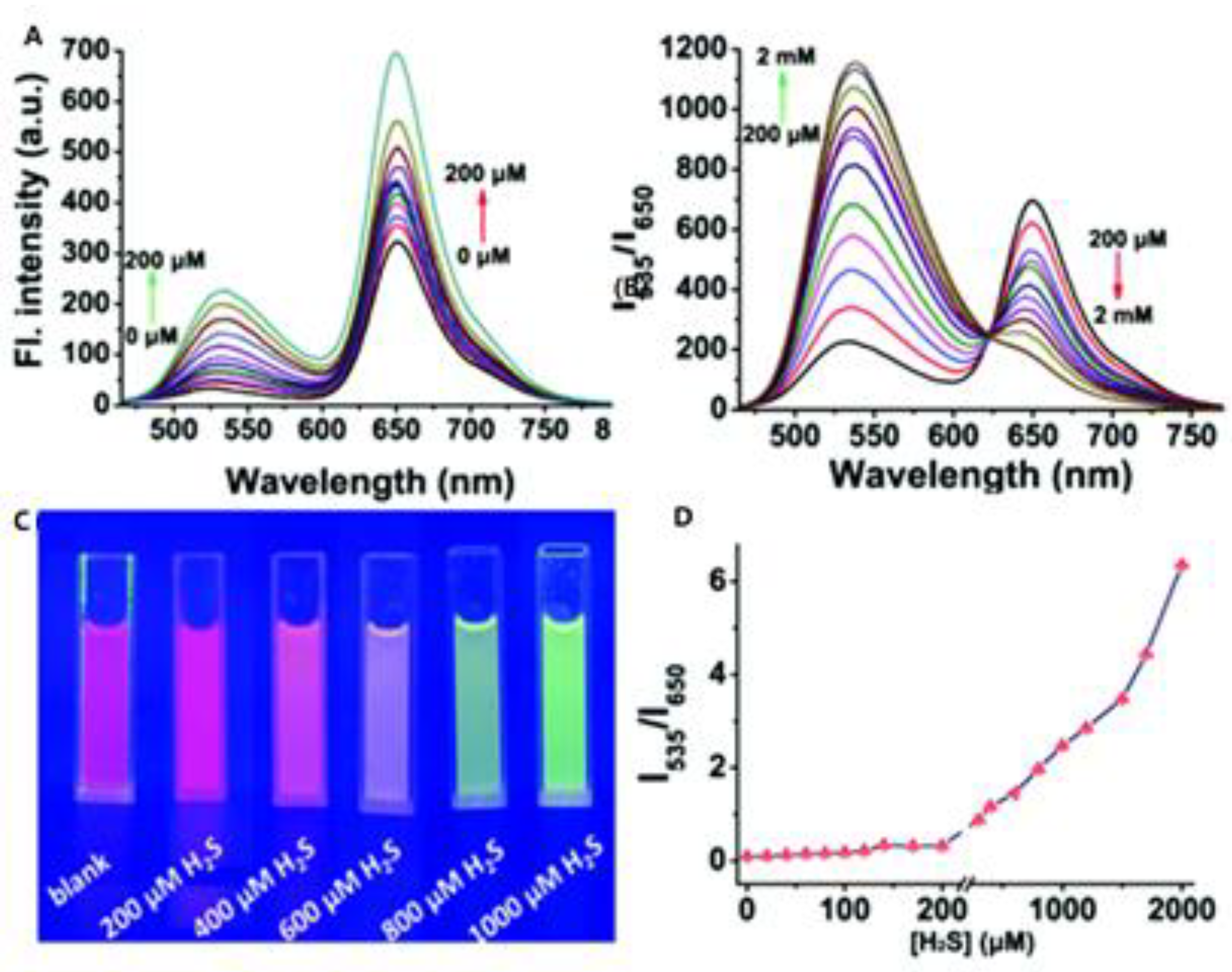 Molecules 28 01295 g013 Molecules 28 01295 g013