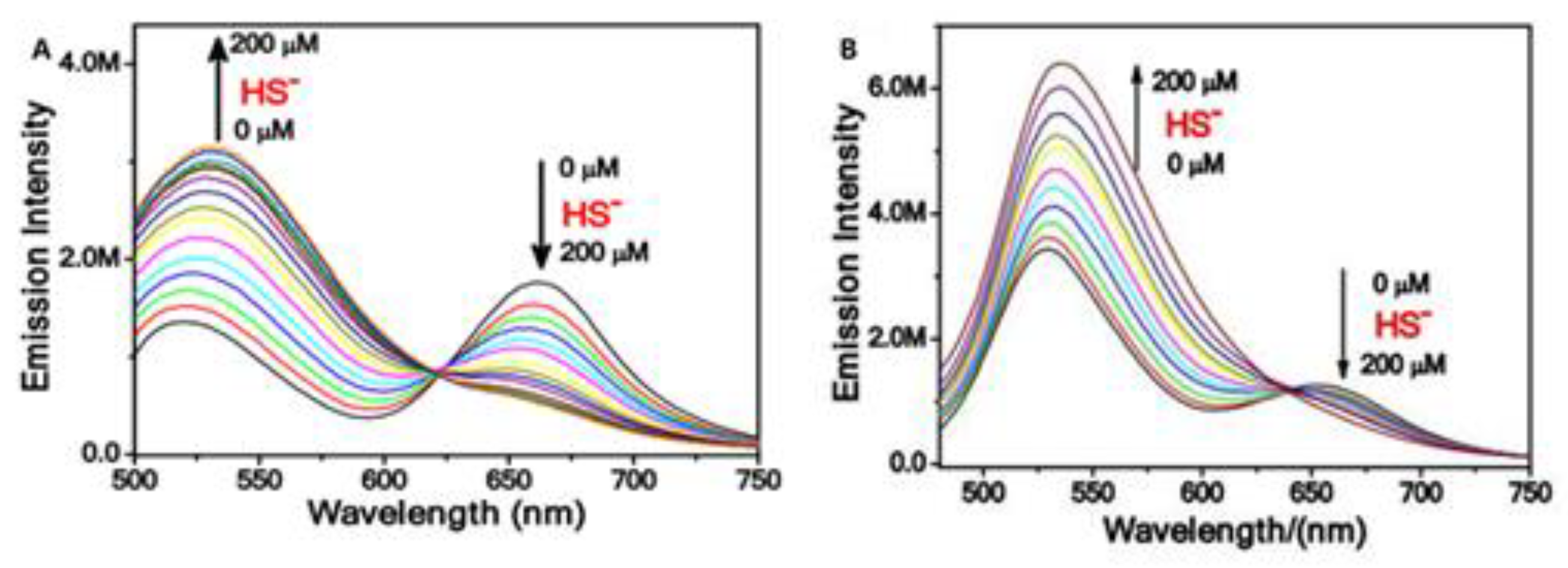 Molecules 28 01295 g014 Molecules 28 01295 g014