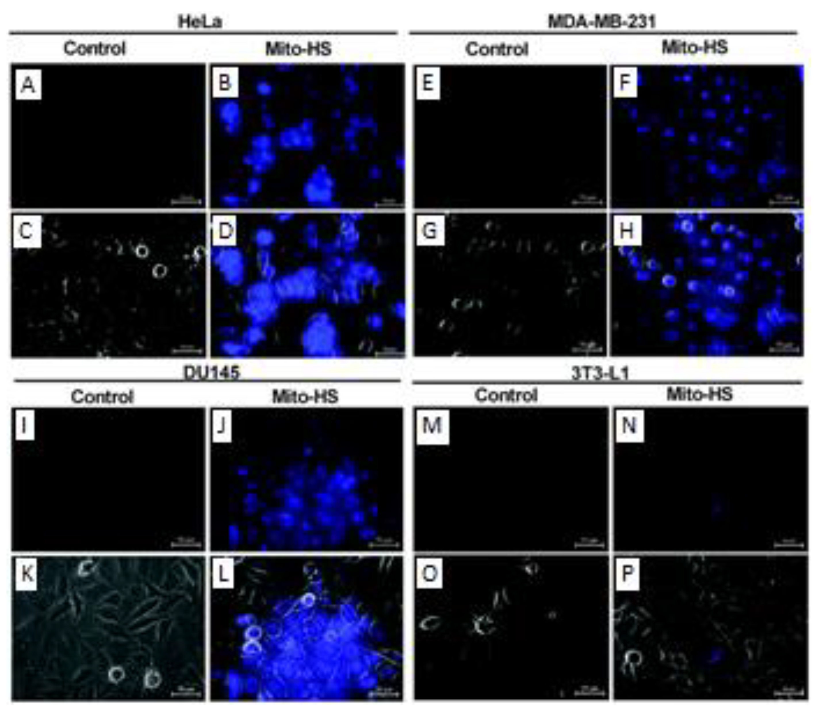 Molecules 28 01295 g027 Molecules 28 01295 g027