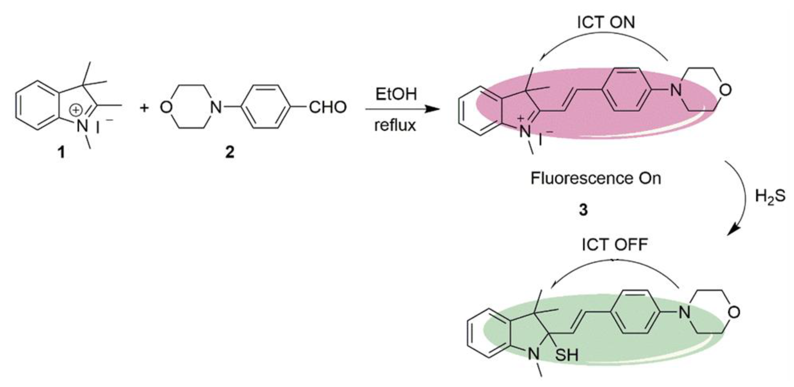 Molecules 28 01295 sch002 Molecules 28 01295 sch002