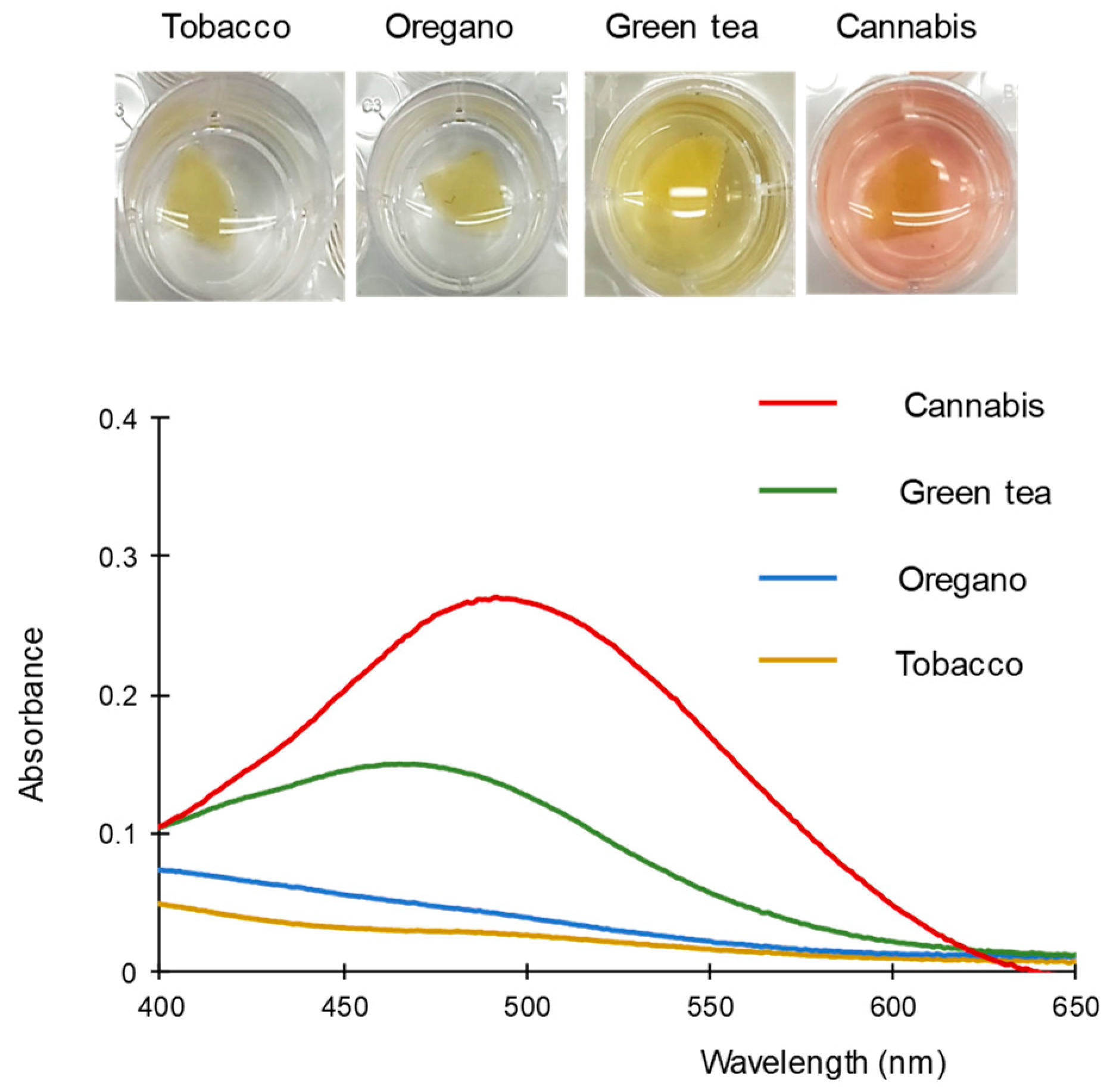 Molecules 28 01303 g005 Molecules 28 01303 g005