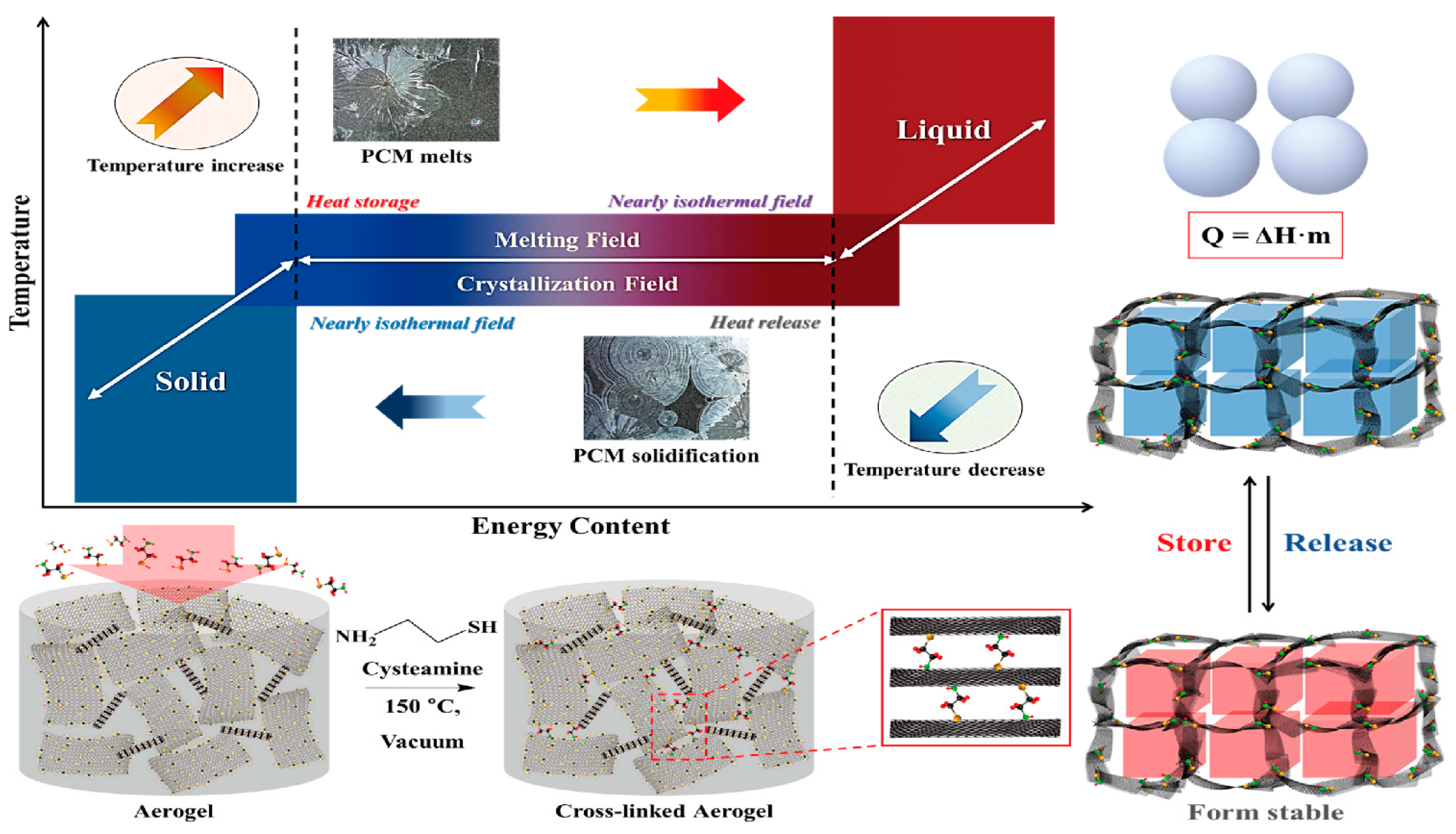 Molecules 28 01309 g001