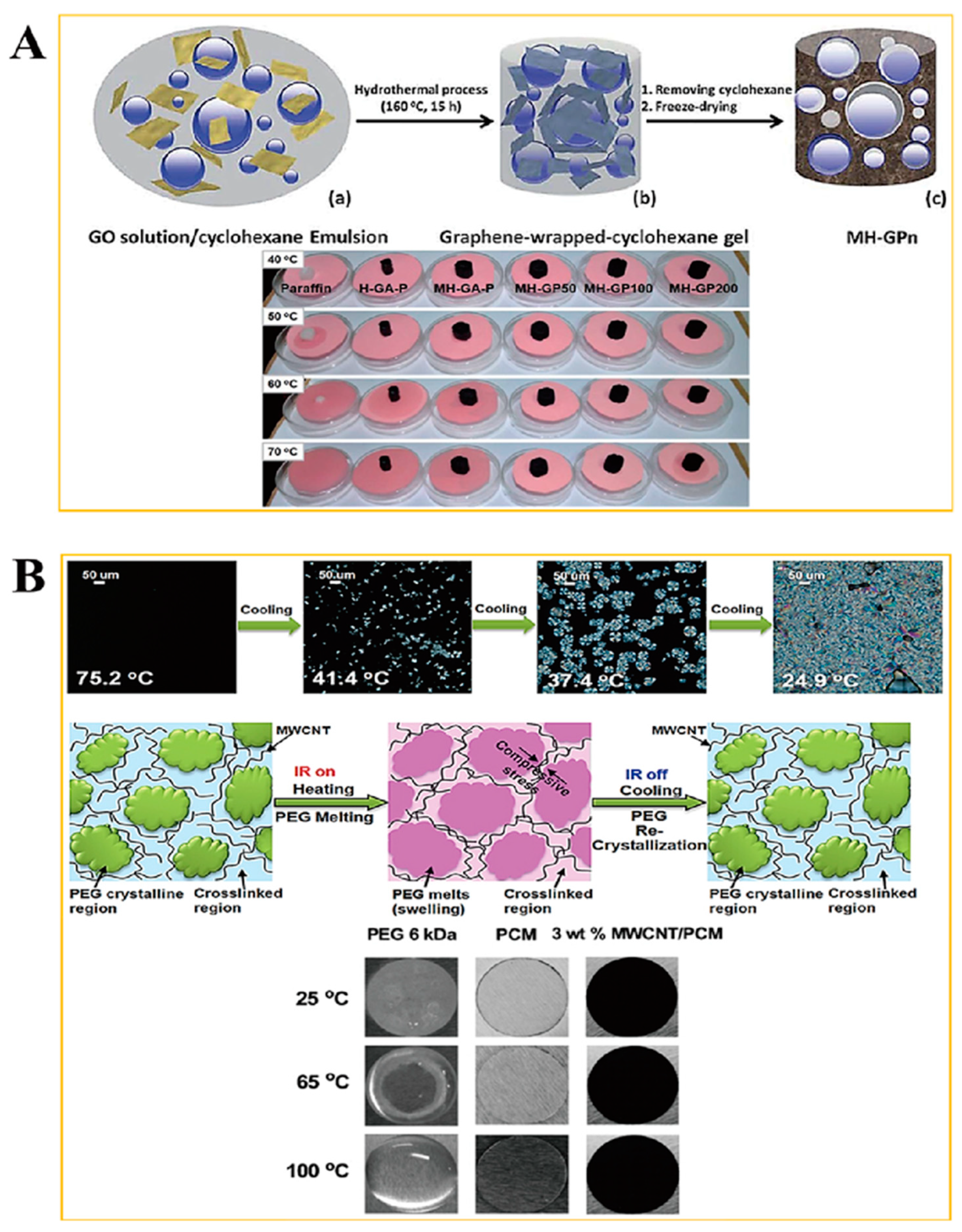 Molecules 28 01309 g003