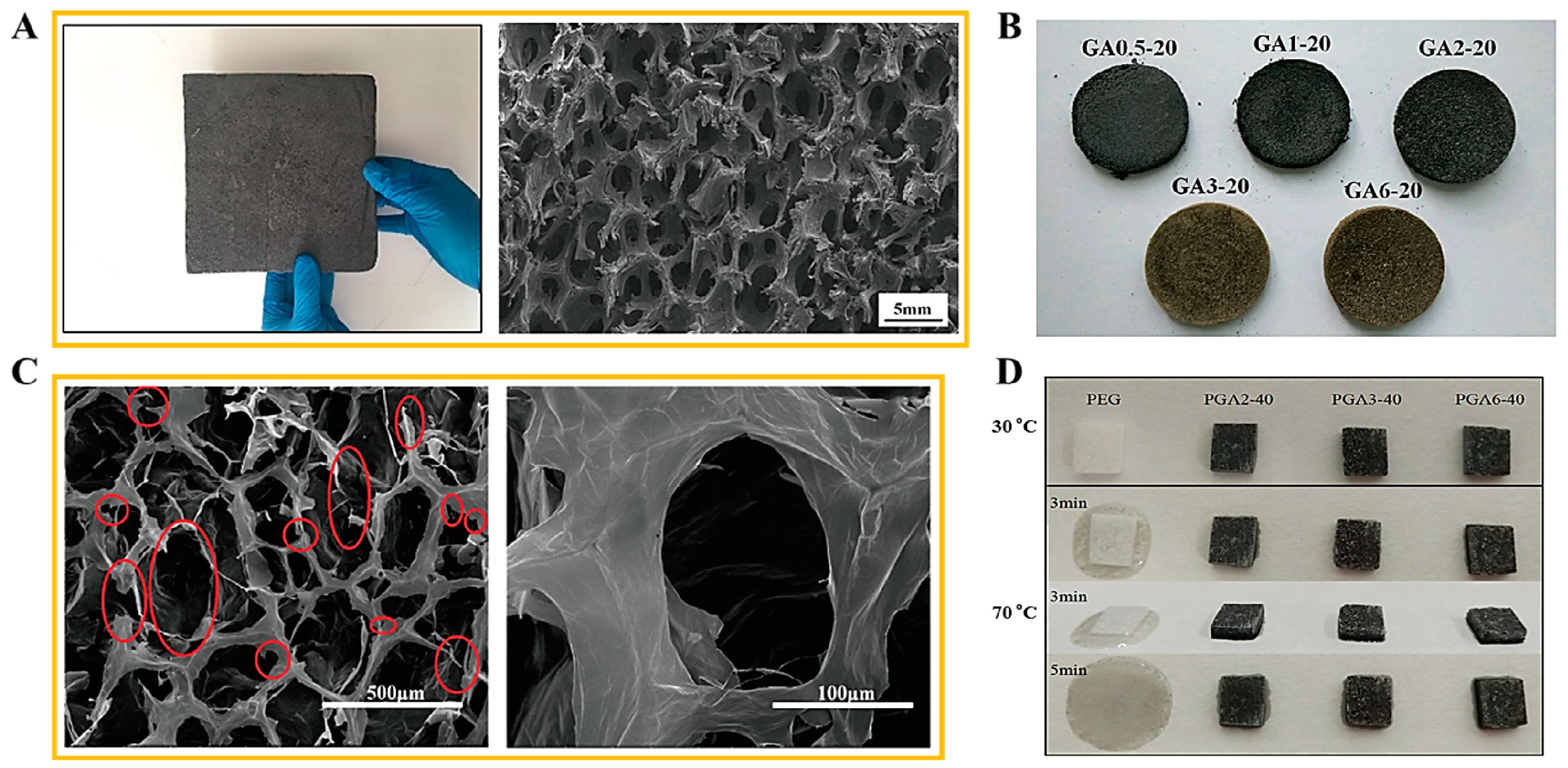Molecules 28 01309 g006