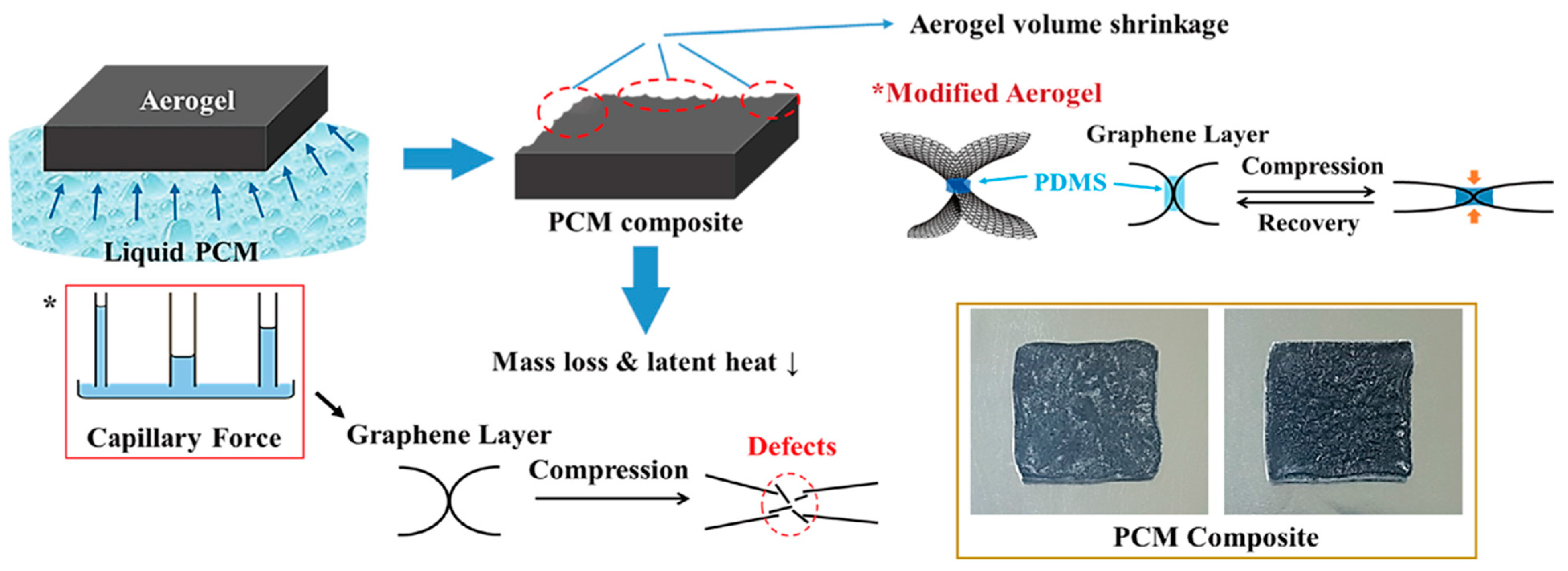 Molecules 28 01309 g007
