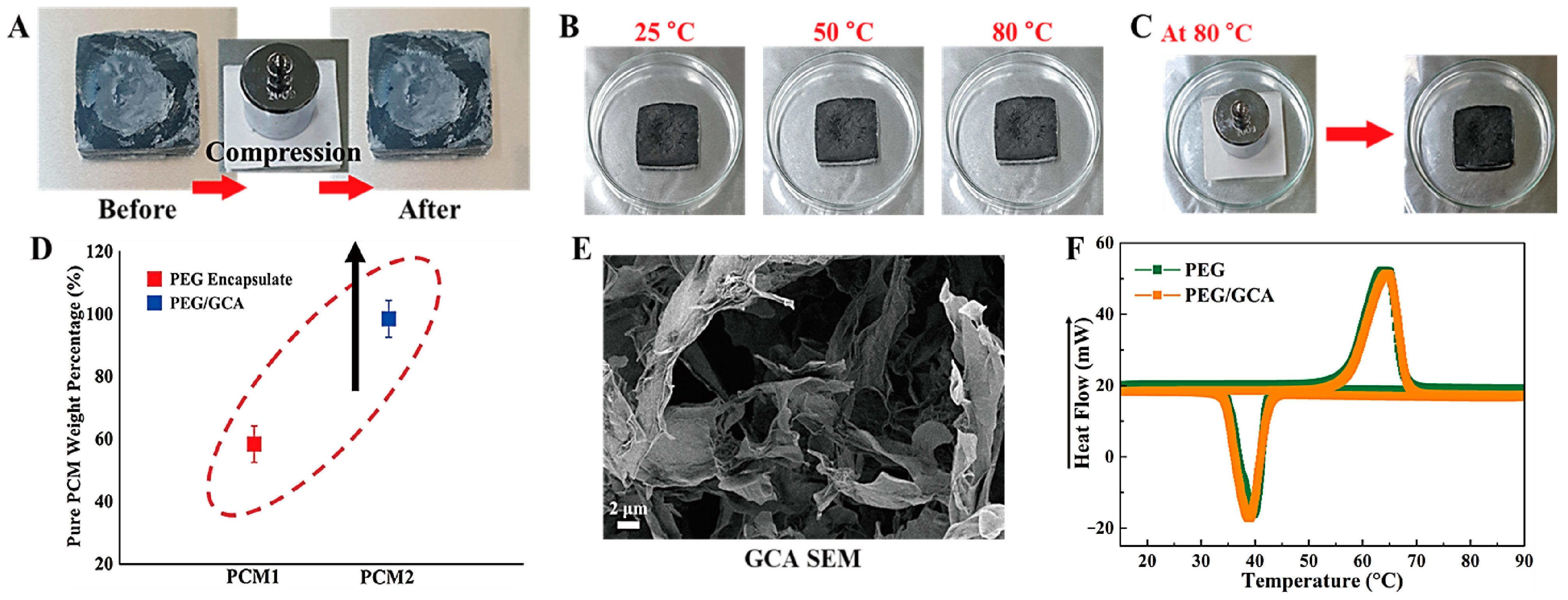 Molecules 28 01309 g008